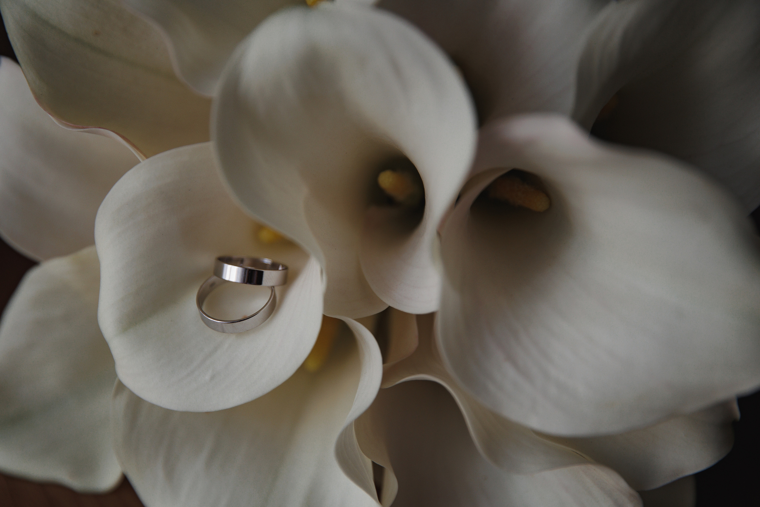 Ксения и Денис. Wedding photographer in St. Petersburg, Europe and Israel Anna Agafon