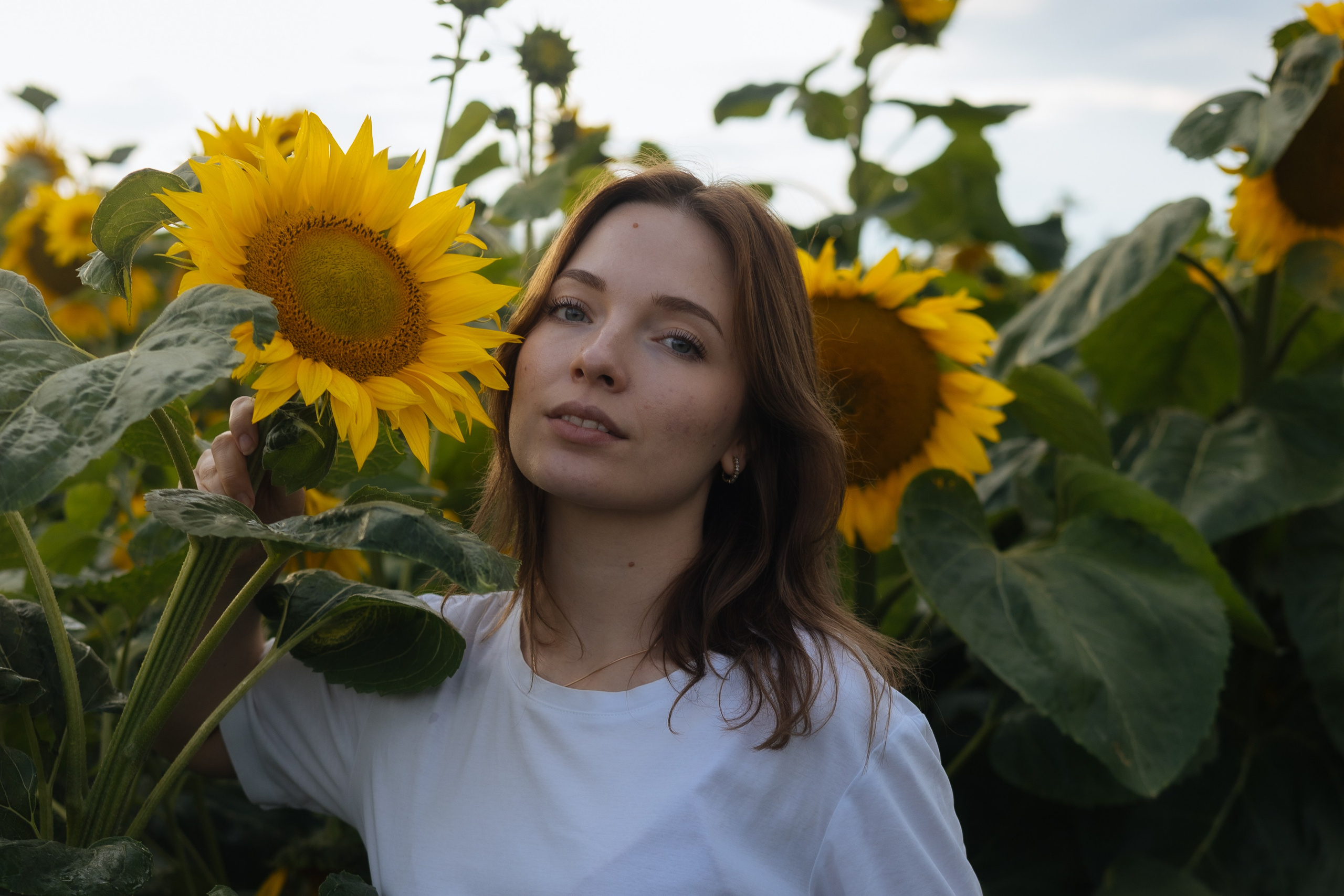 ПОДСОЛНУХИ 2025. Фотограф Красноярск съемки лавстори, фотосессия в студии, портретная съемка, творческие фотосессии