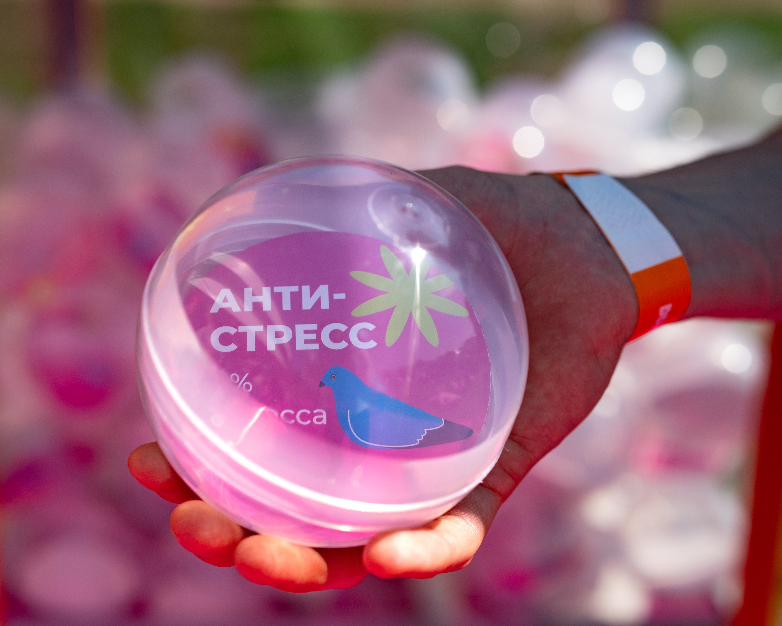 Халва & DDX. Фотограф Дмитрий Алехин. Репортажная съемка мероприятий в Москве