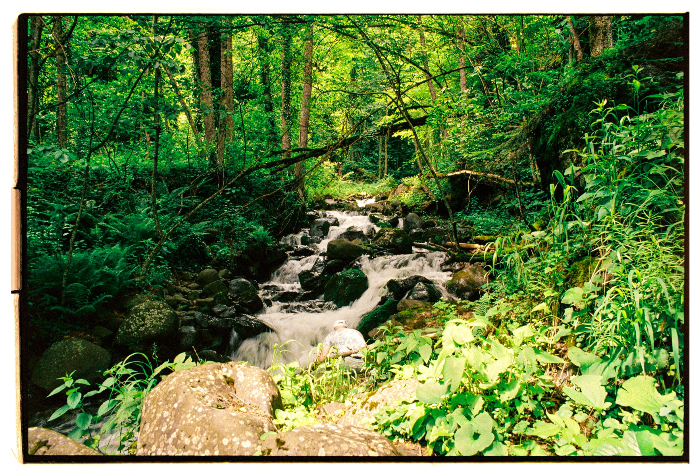 Abkhazia-2023. Никита Демидов. Nikita Demidov