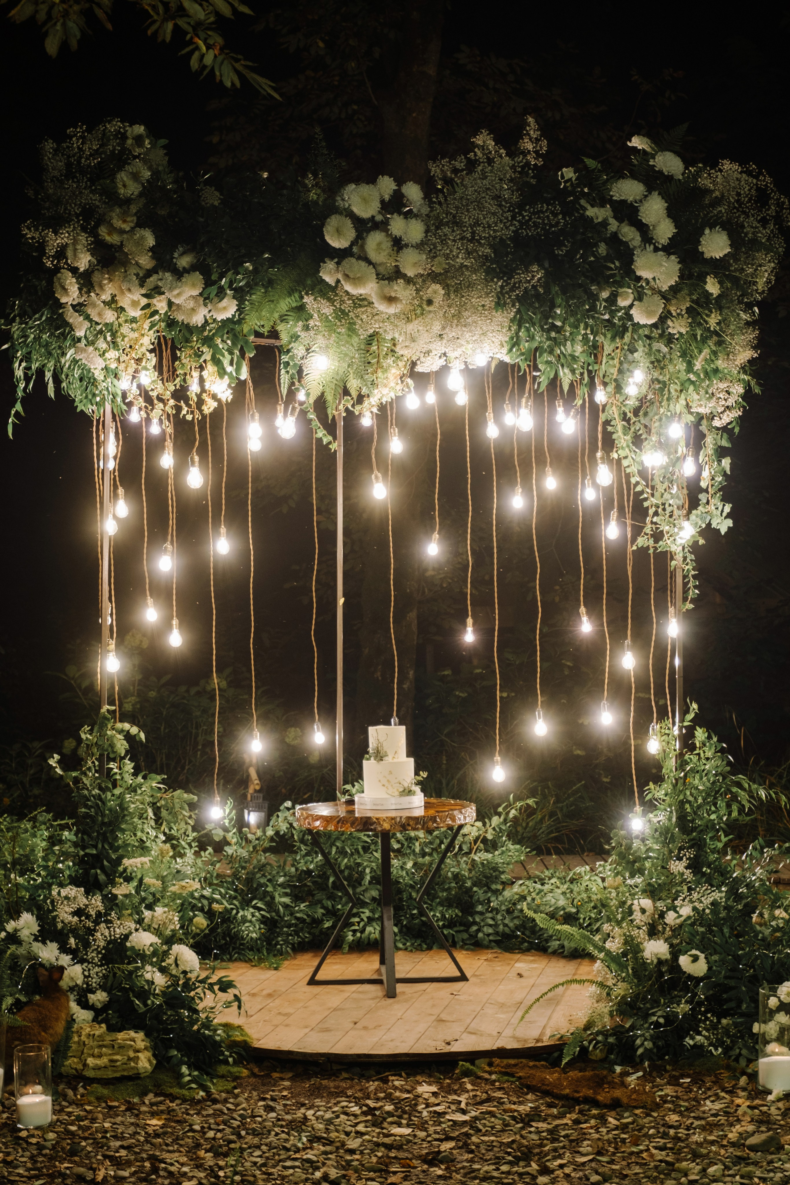 Кот и Дракон. Свадебный Видеограф Фотограф в Сочи