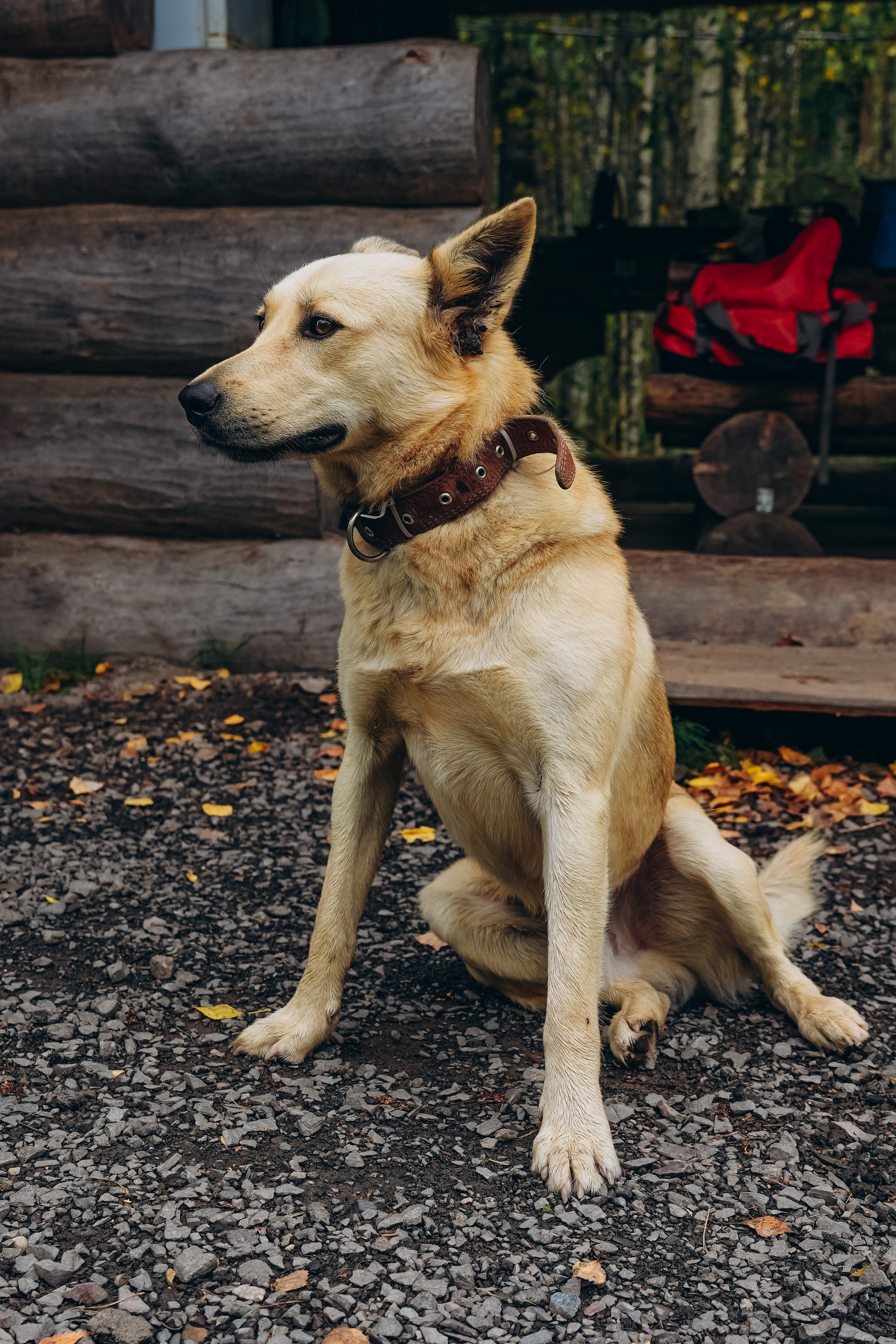 СЕВЕР. Event фотограф Степанова Александра
