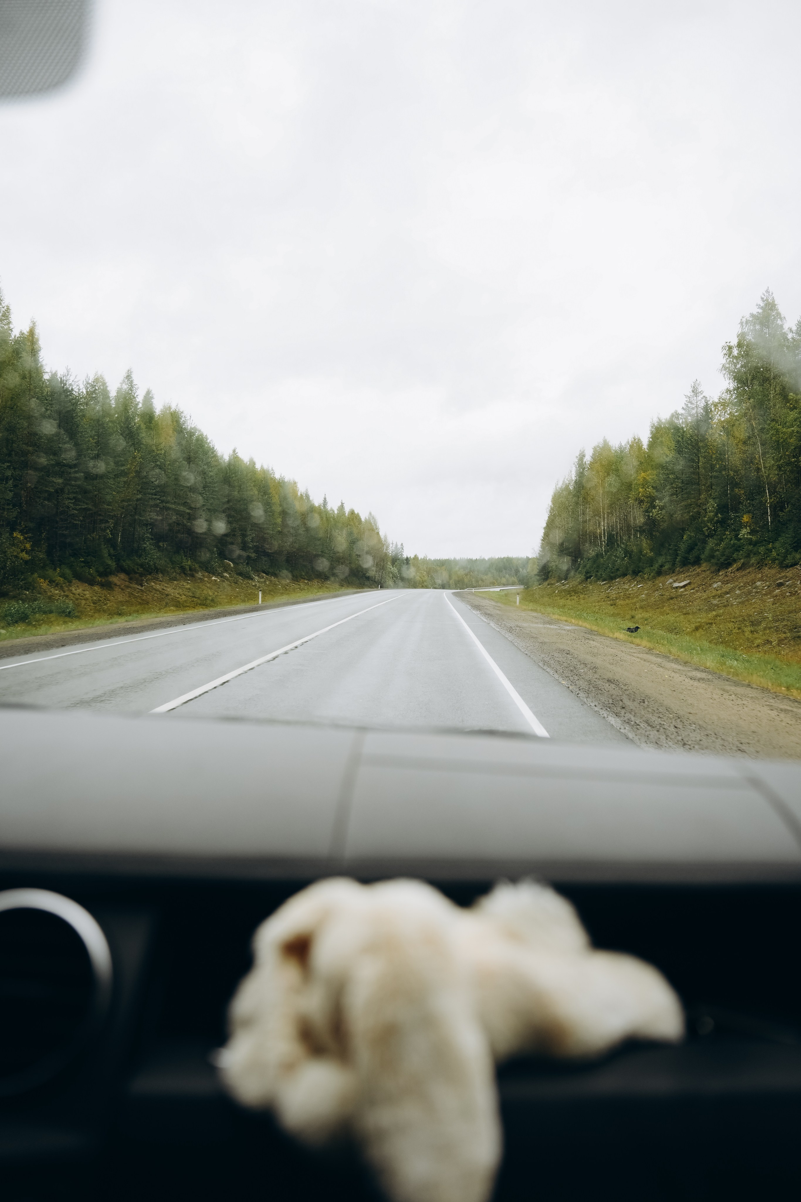 СЕВЕР. Event фотограф Степанова Александра