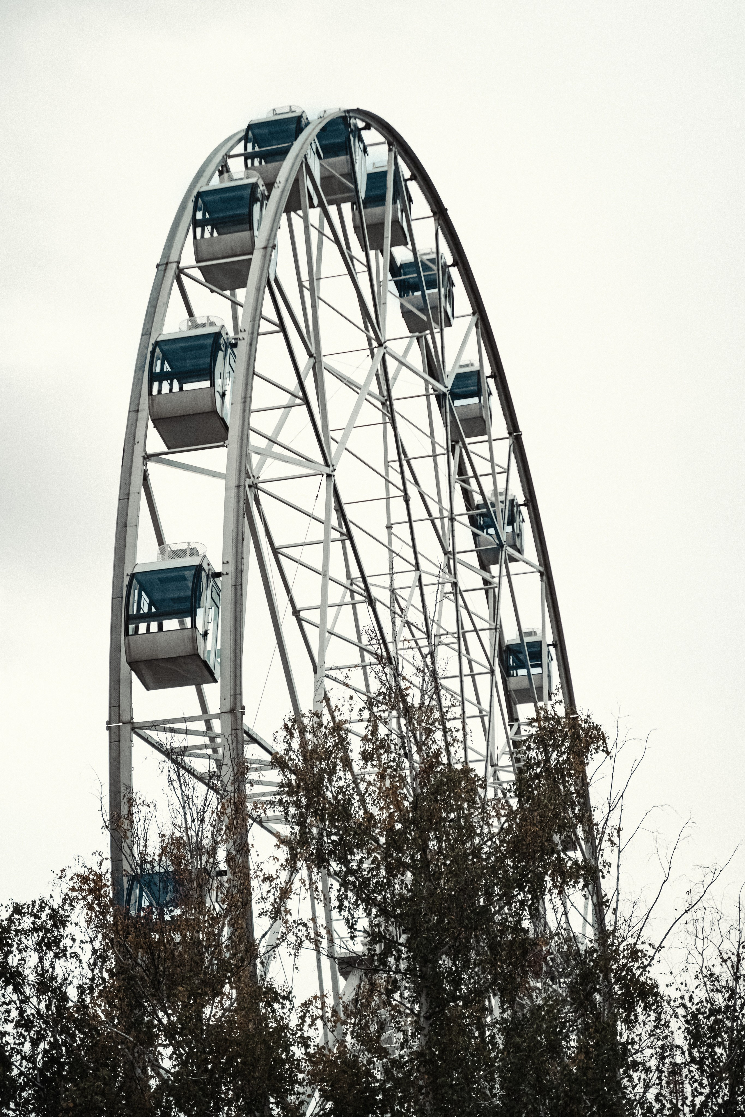 FAMILY park. Контент фотограф в Москве Кулич Настя