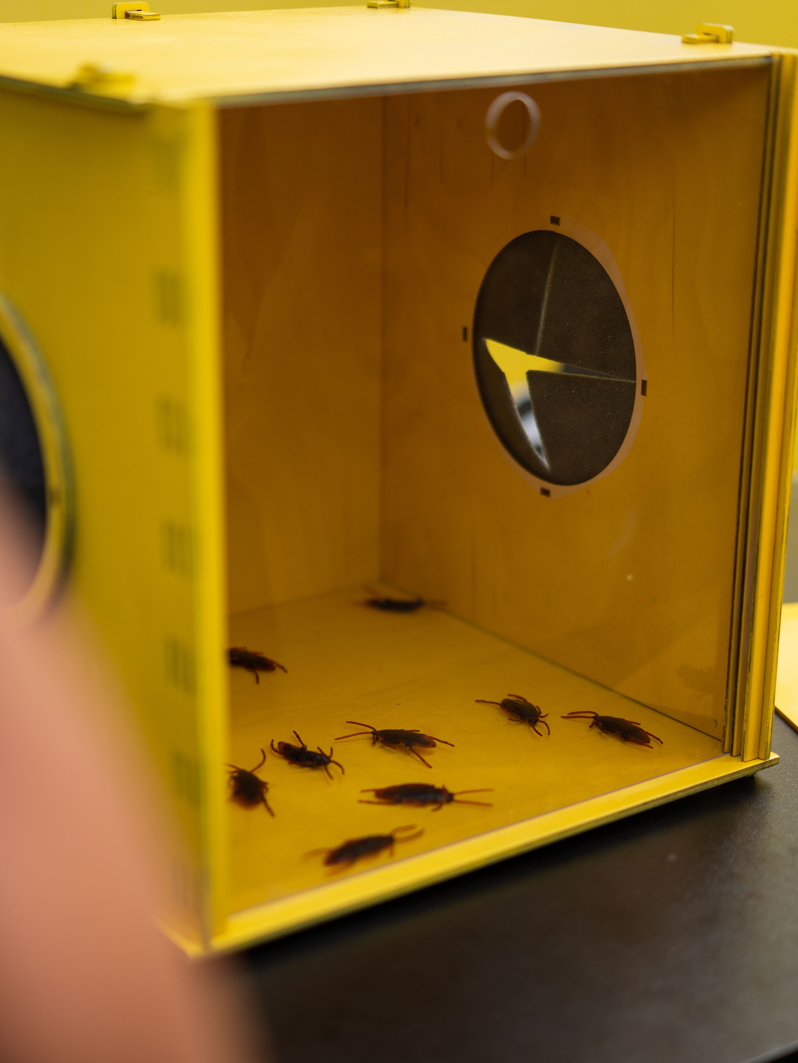 День знаний вместе с чижиком. Фотограф Москва