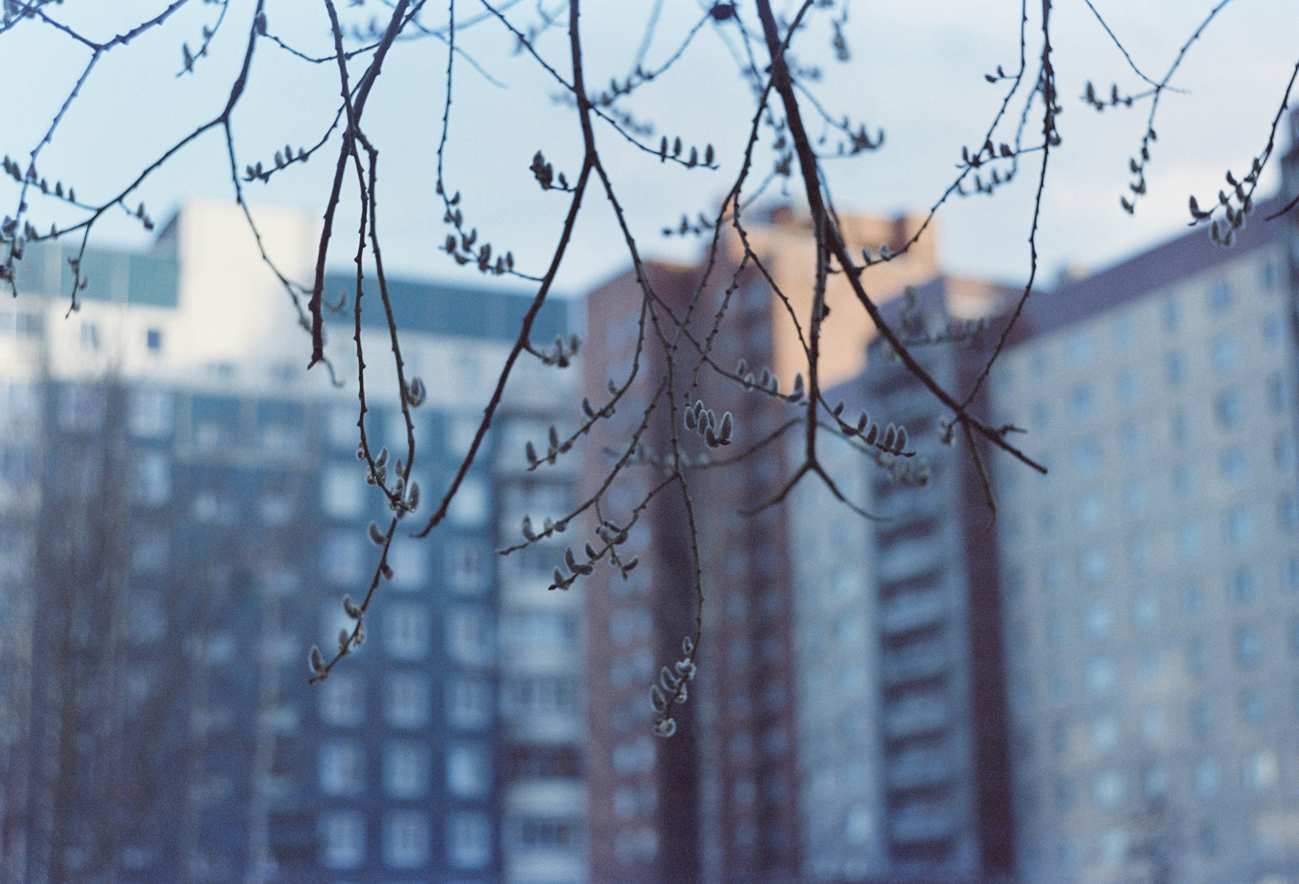 Съёмка на цветную фотопленку. Фотограф в Санкт-Петербурге и Москве Наталья Милли