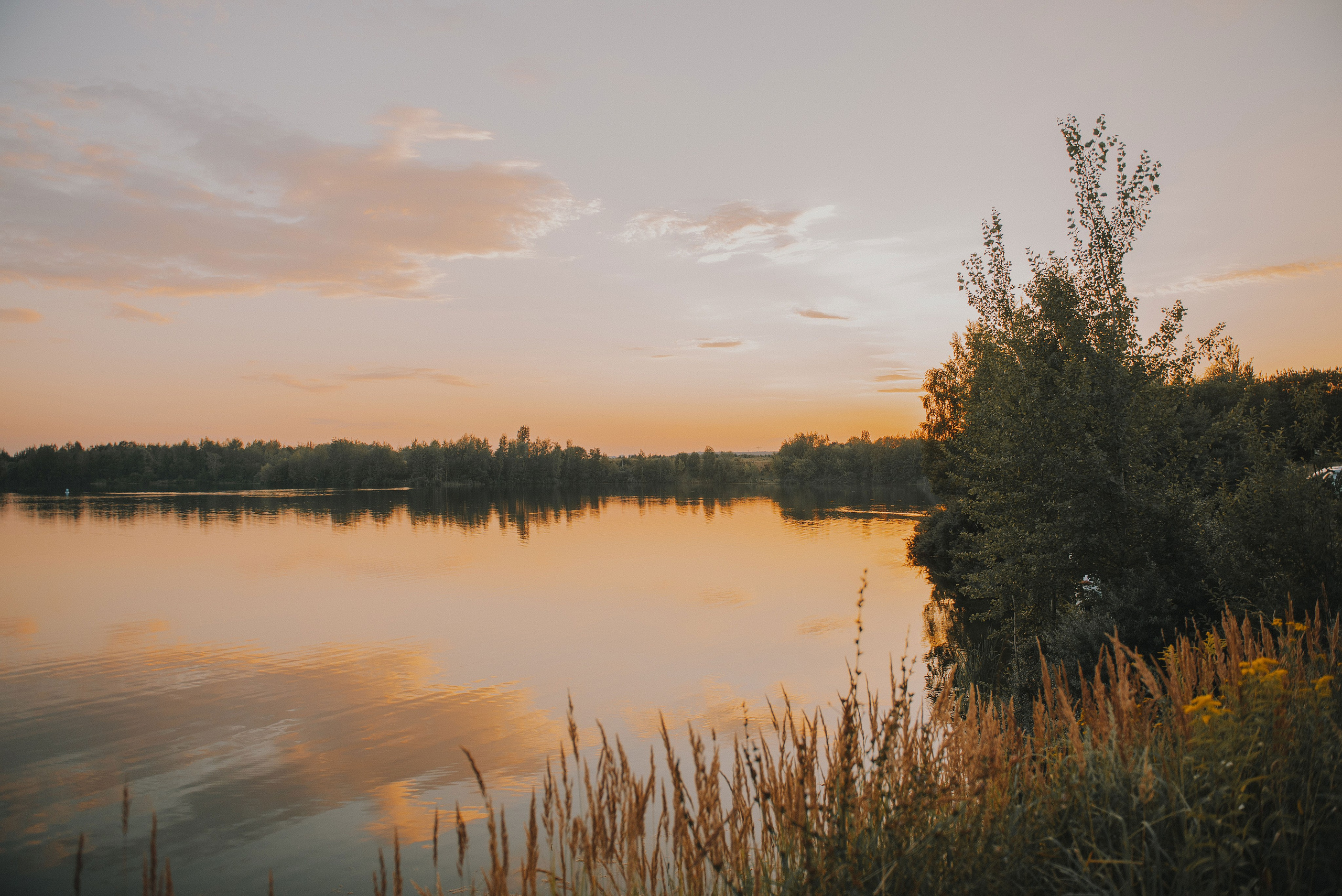 Эмир, Алсу и немецкая овчарка Рэй (Щелково, 2023). Анна Пушина, фотограф, Москва, Королев, Пушкино