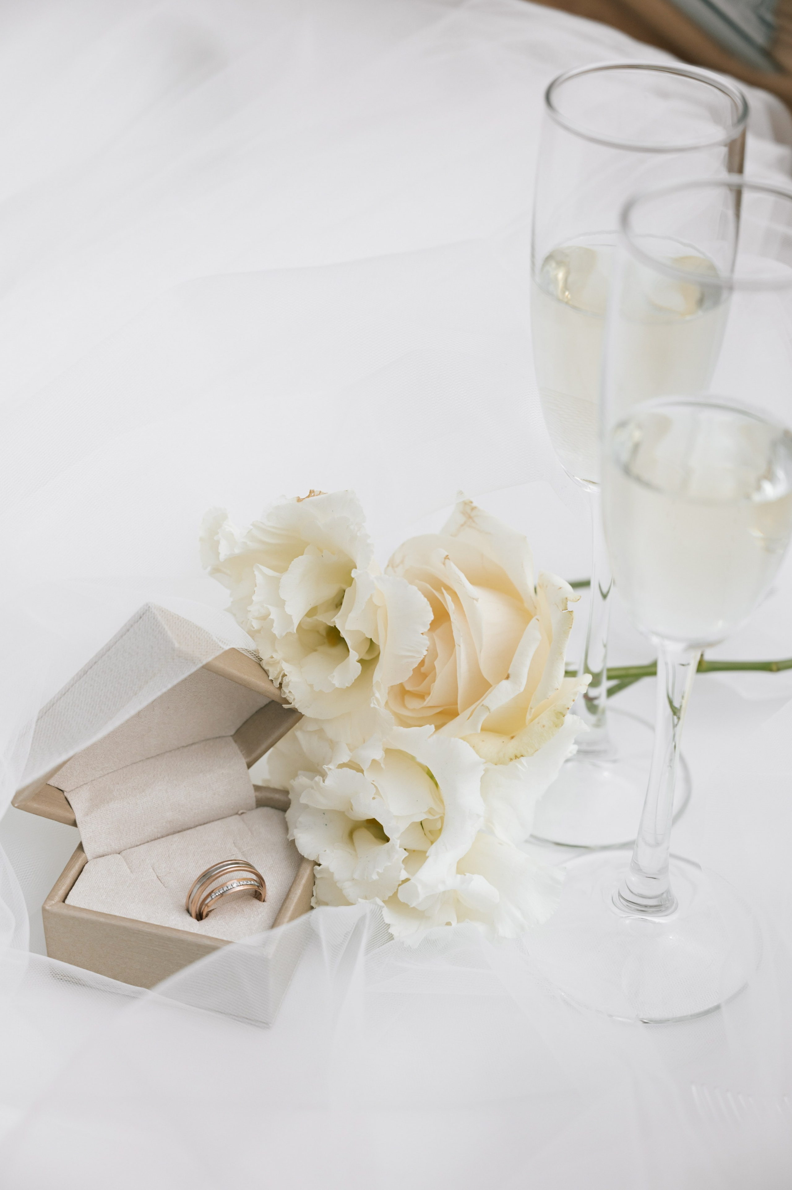 Anton & Diana. Свадебный и семейный фотограф Вероника Холод