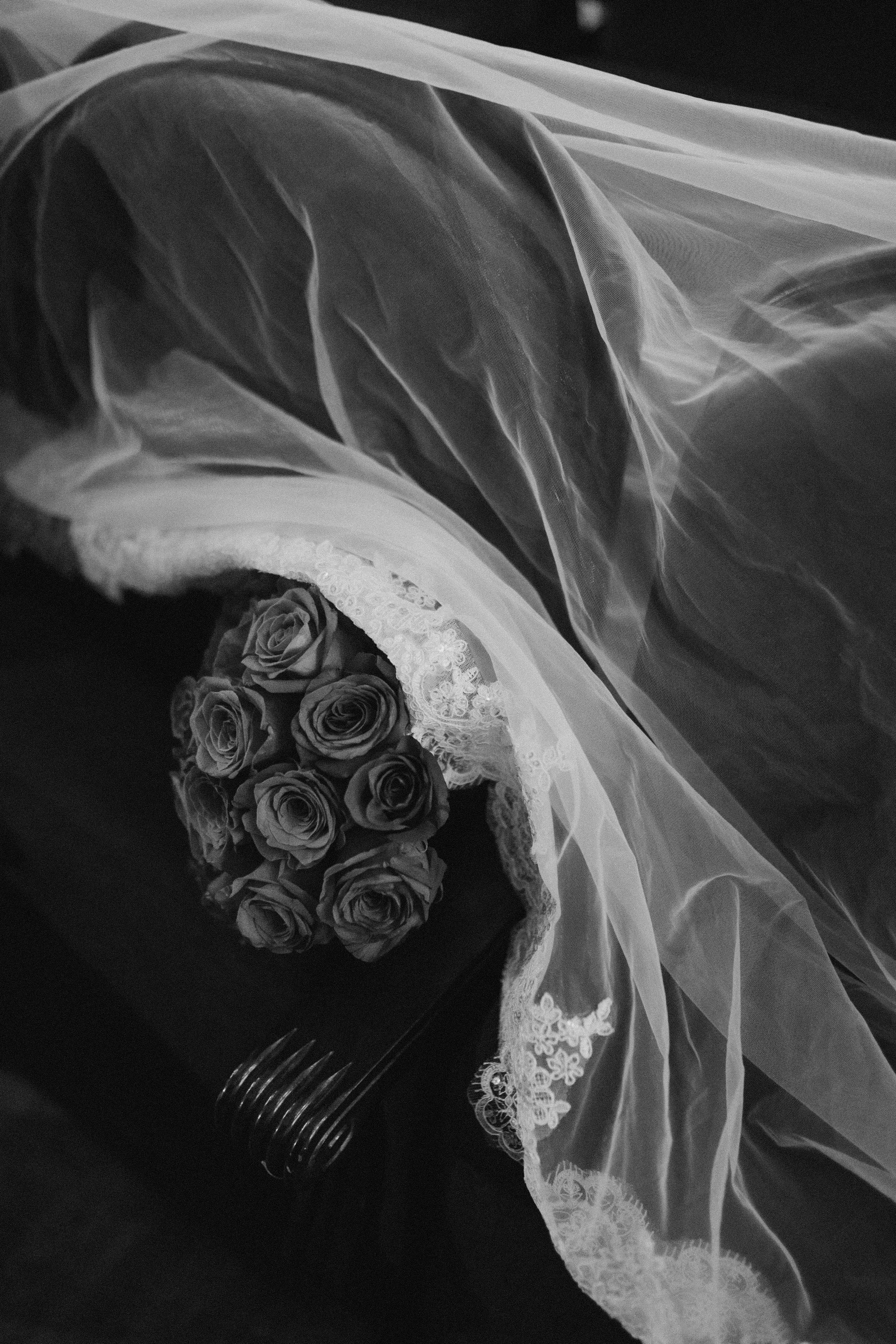 Розы и любовь. Творческий фотограф Аня Волк