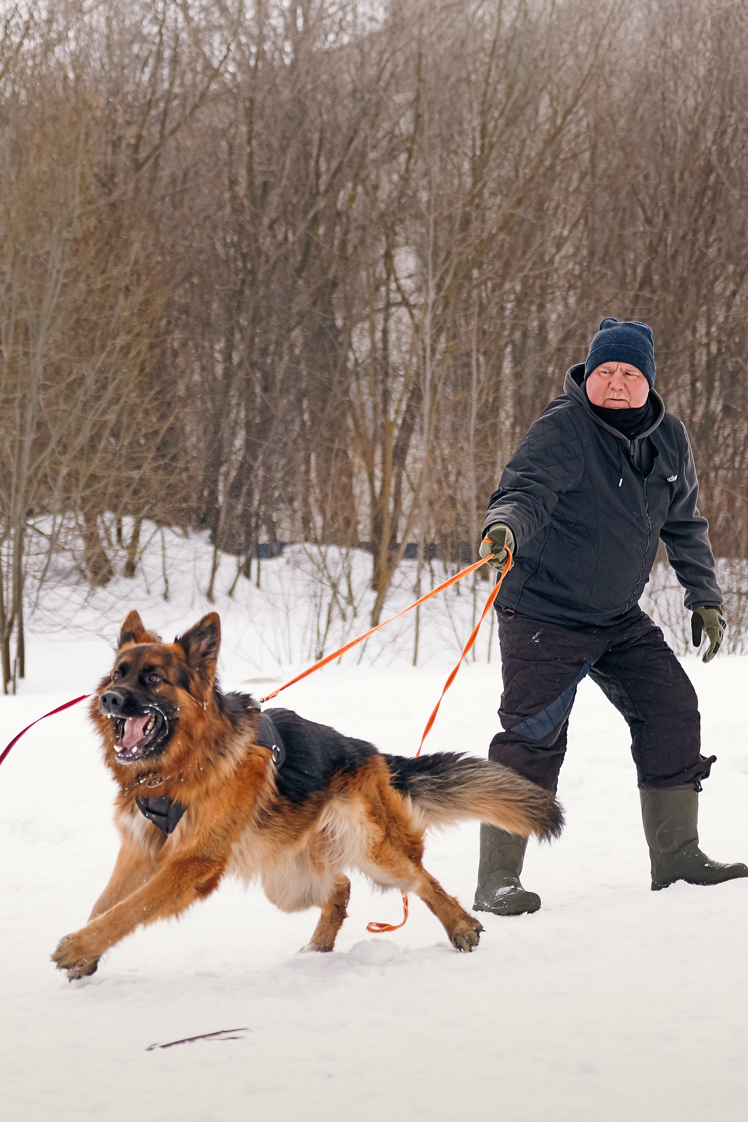 Репортажная съемка. Фотограф-анималист Нижний Новгород