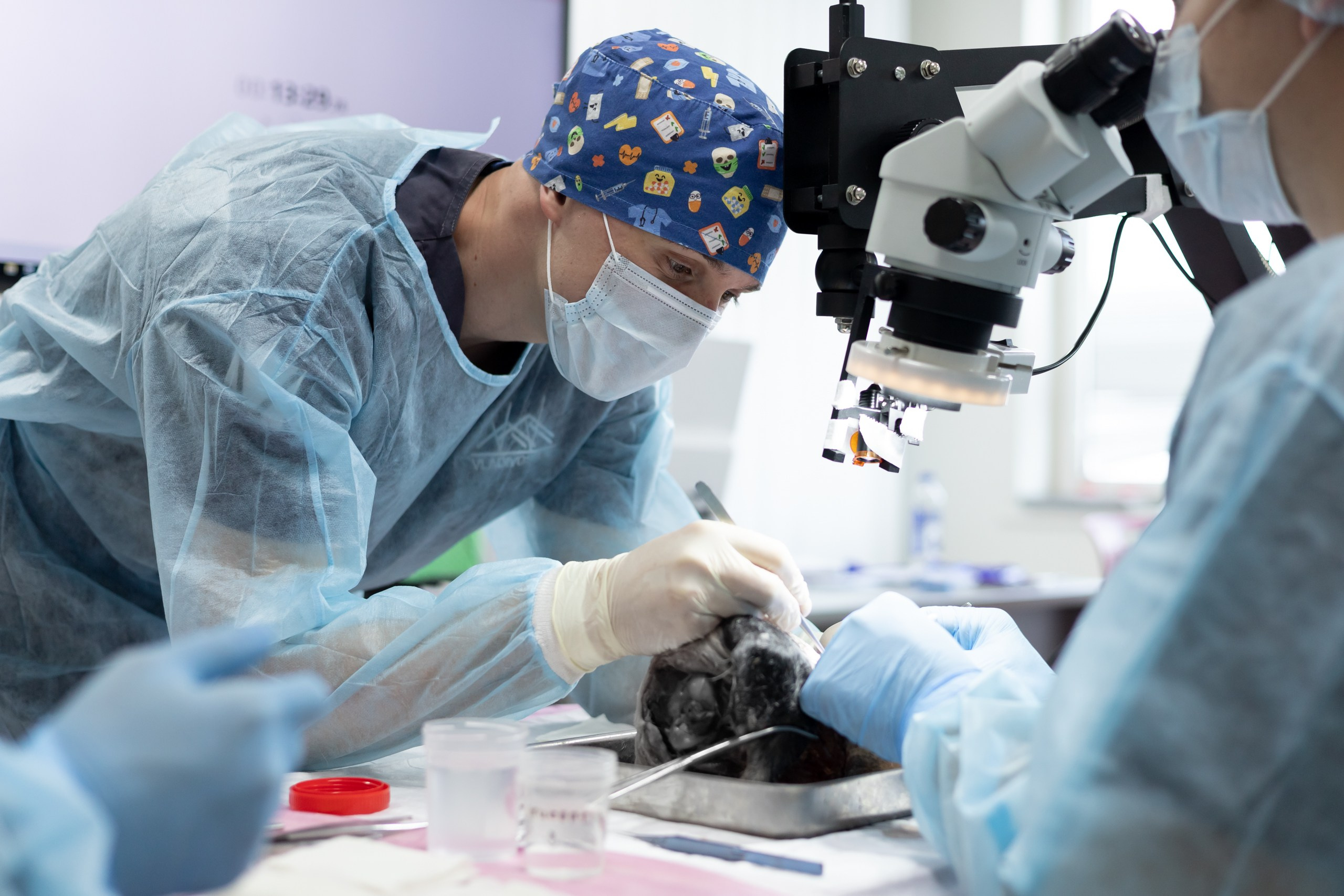 III Дальневосточная региональная олимпиада по детской хирургии. Главная