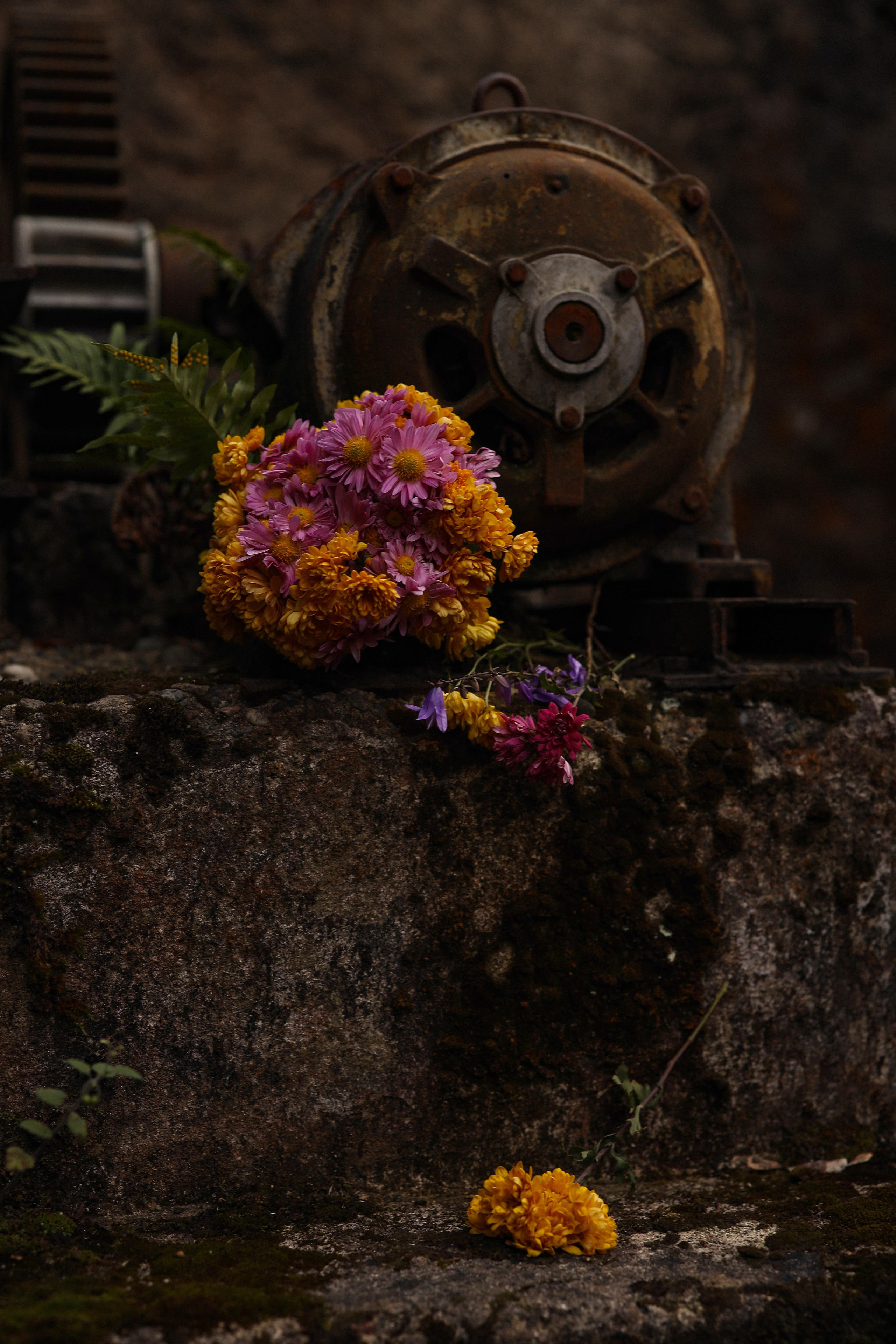 Love story у Беслетской ГЭС. Свадебный и семейный фотограф в Абхазии Жанна Соснина