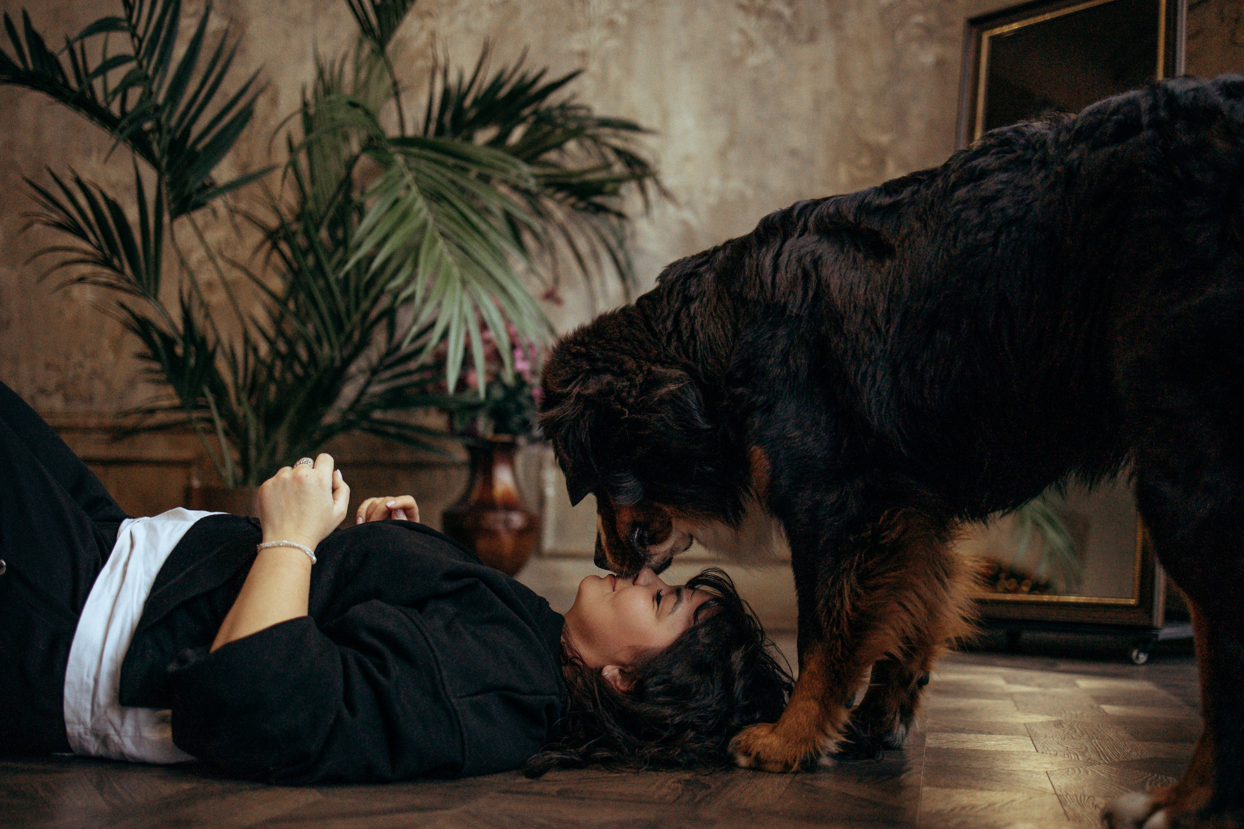 Съемка в студии с собакой. Анастасия Белаш