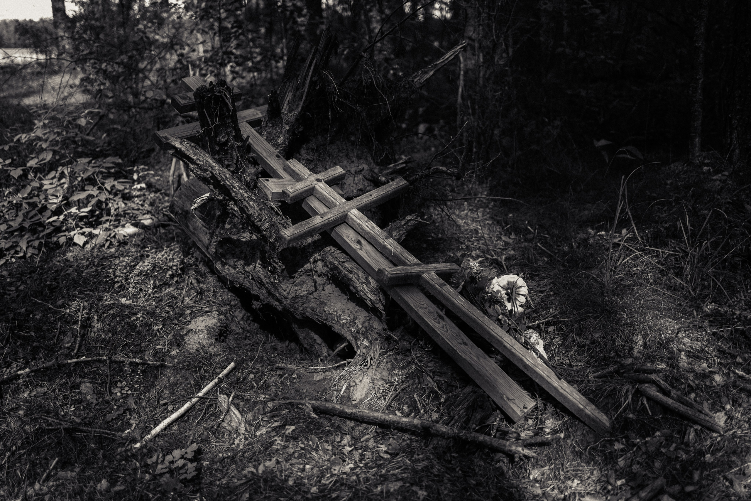 Череповец. Анна Мильч