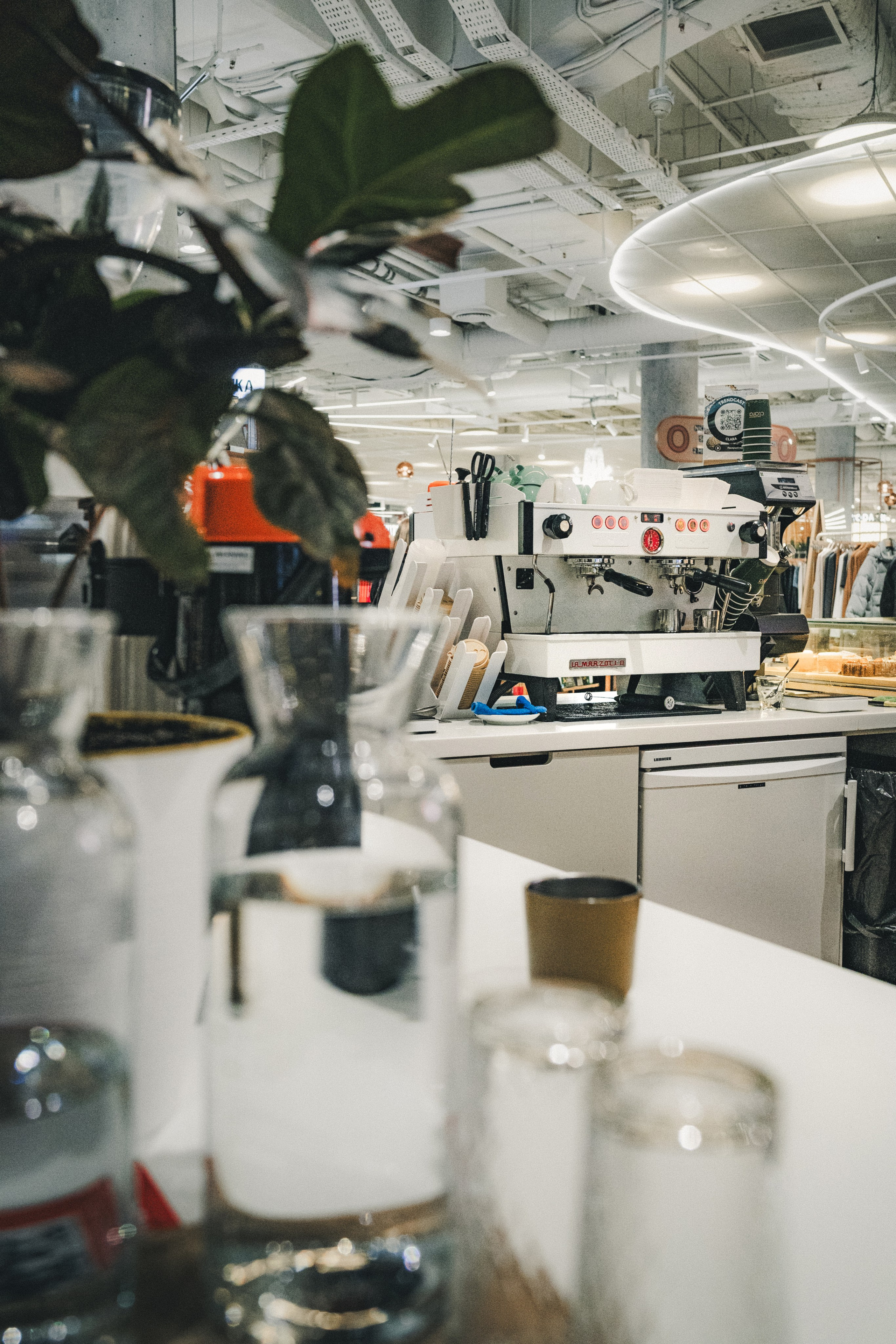 Clara. Фотограф Илья К. в Москве