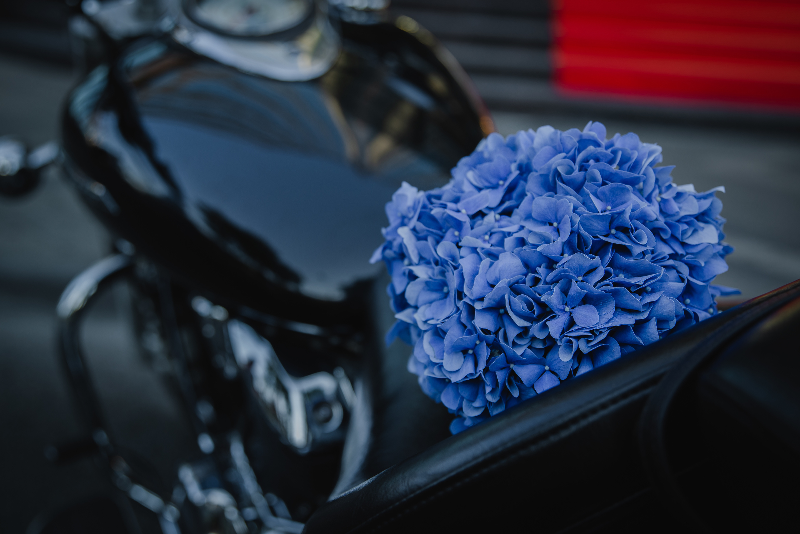 Дарья и Богдан. Свадебный фотограф в Краснодарском крае Пеньков Роман