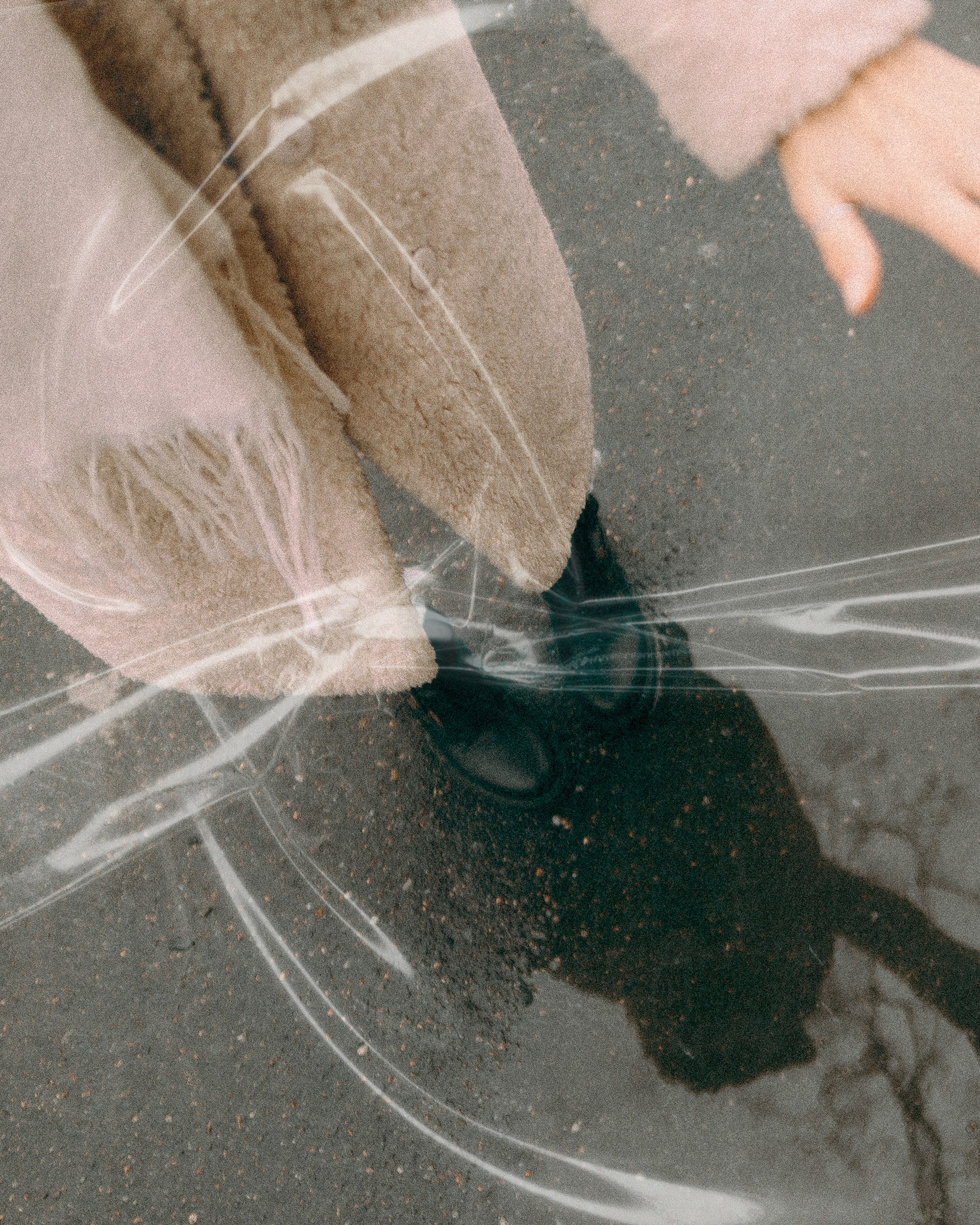 Lera. Фотограф Санкт-Петербург Макарова Дарья