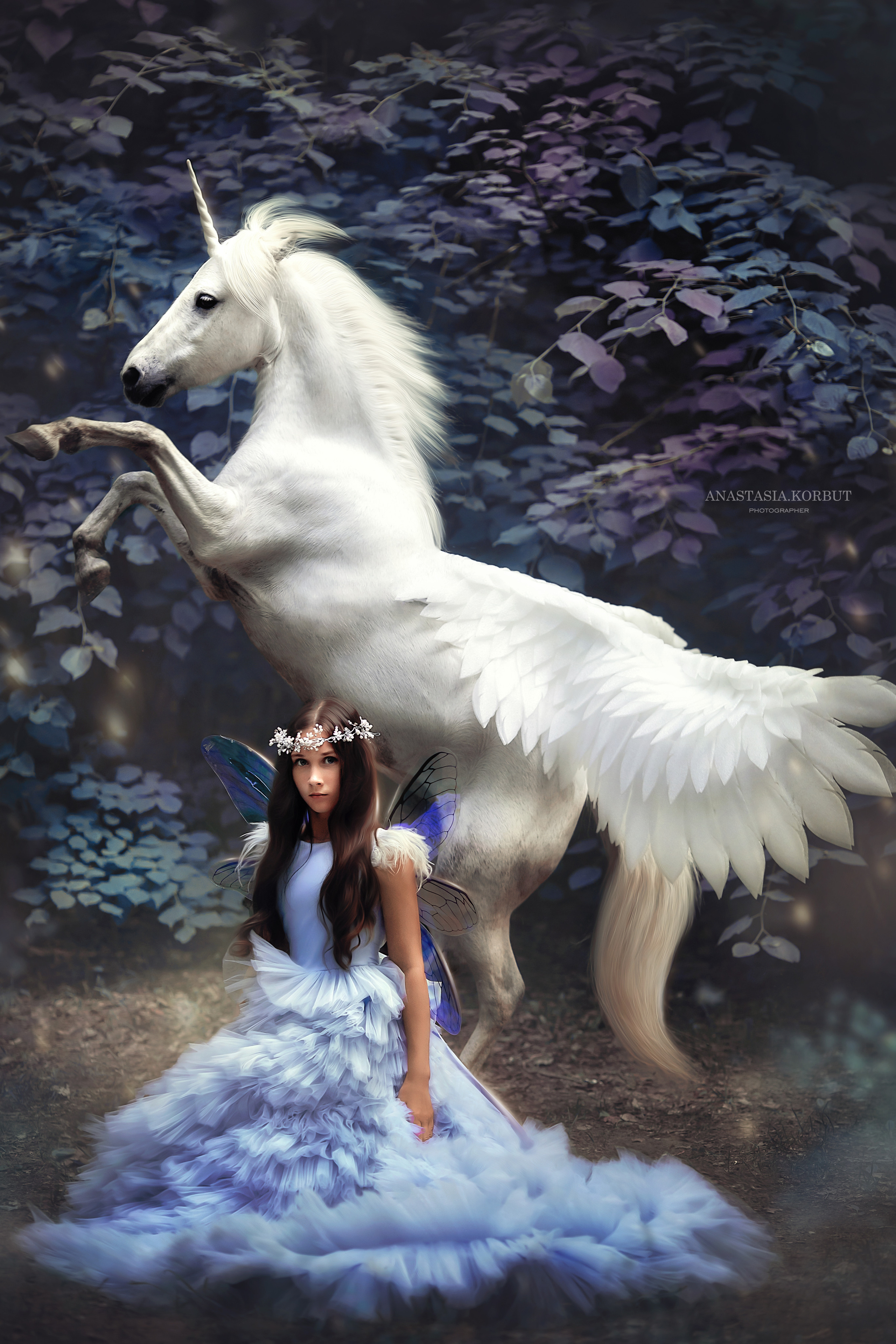фотосессия с пегасом, фотосессия Минск. Фея в волшебном лесу с  красивой лошадью