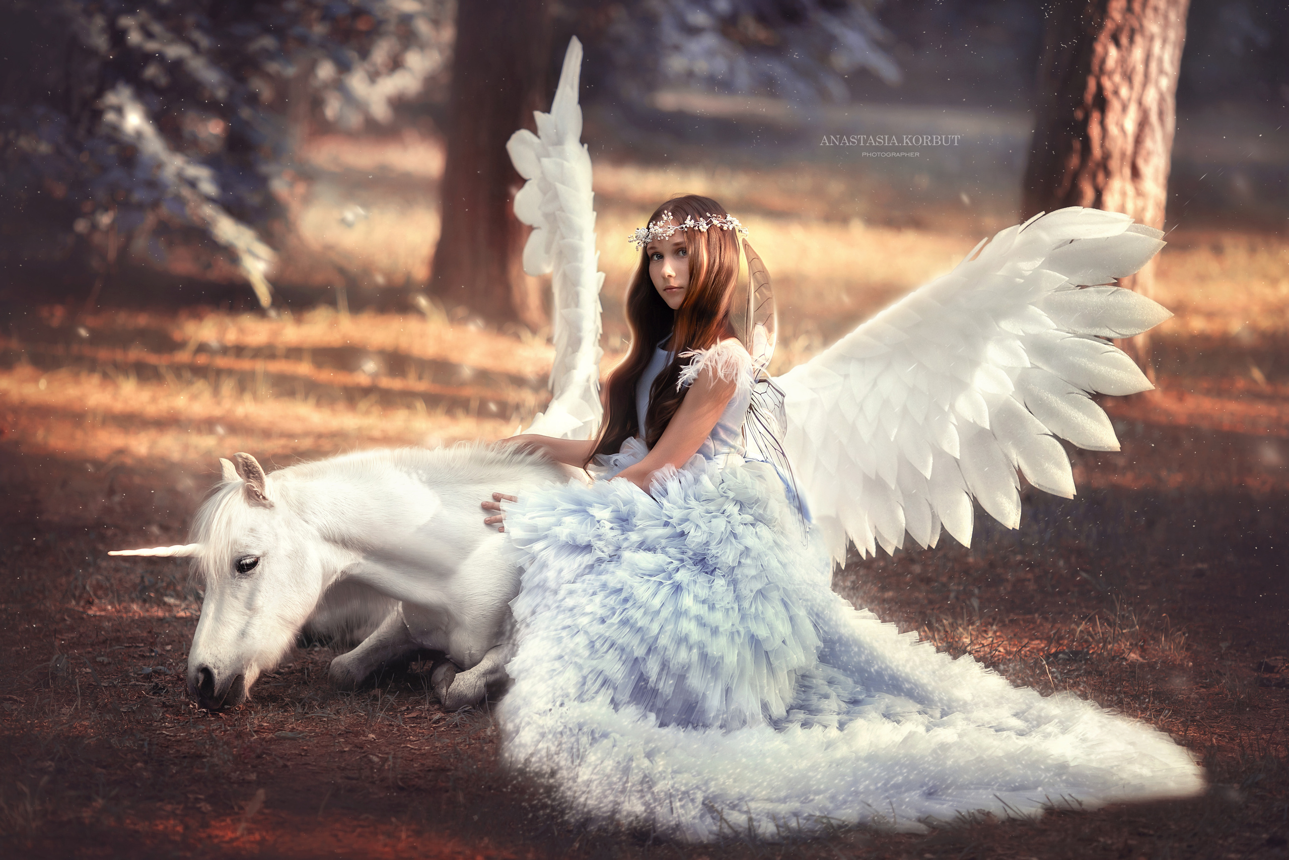 фотосессия с пегасом. Фея в красивом платье с белым пегасом в лесу 