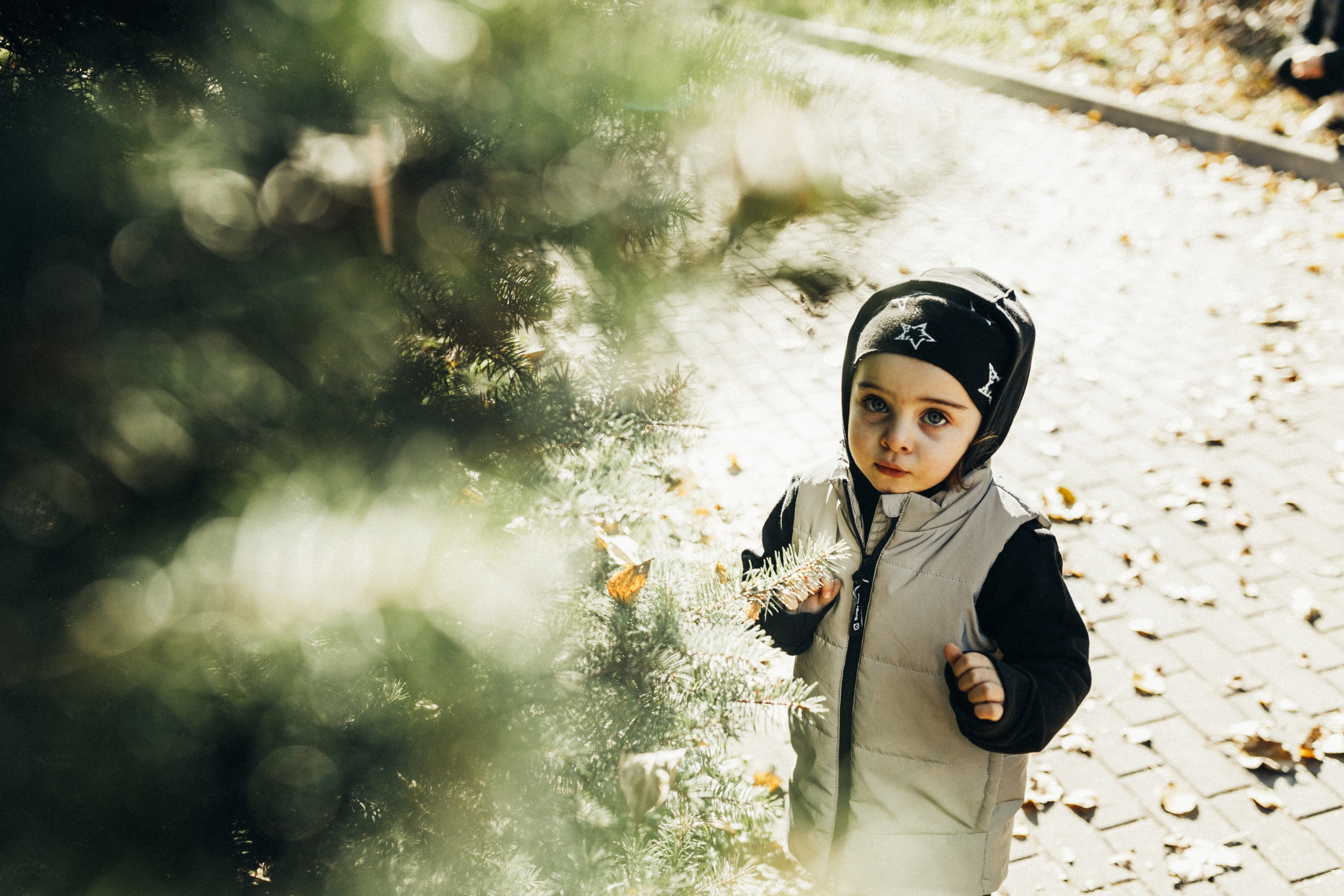 КОГДА ДЕРЕВЬЯ БЫЛИ БОЛЬШИМИ. Фотограф Лебедева Наталья