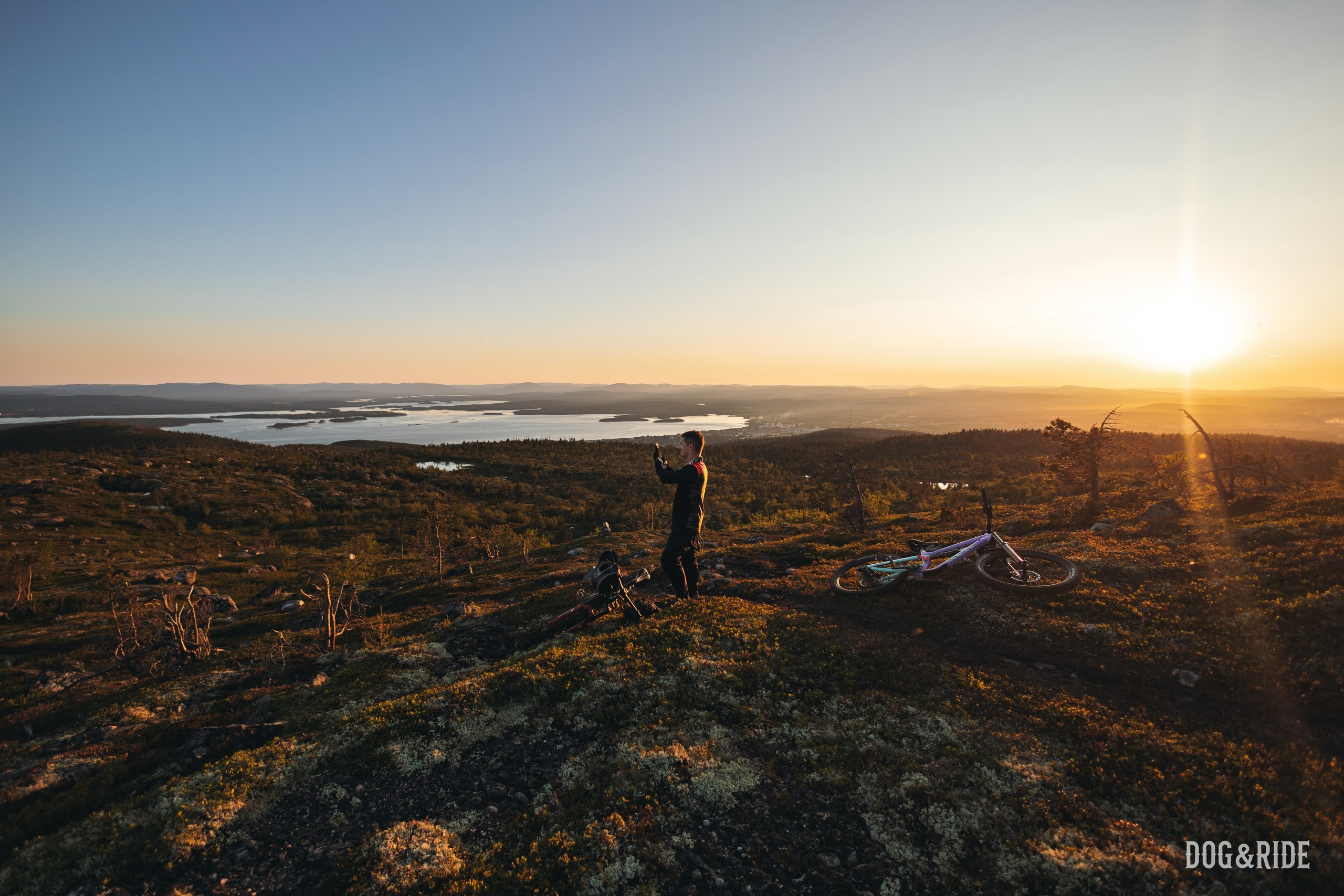 Кандалакшка. Фотограф анималист Никита Натальный
