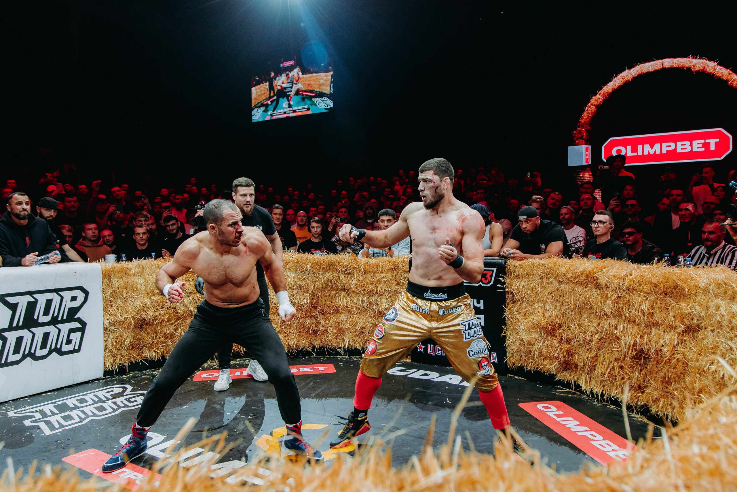 TOPDOG — 32. Фотограф в Саратове Александр Кухаренко. И не только в Саратове :)