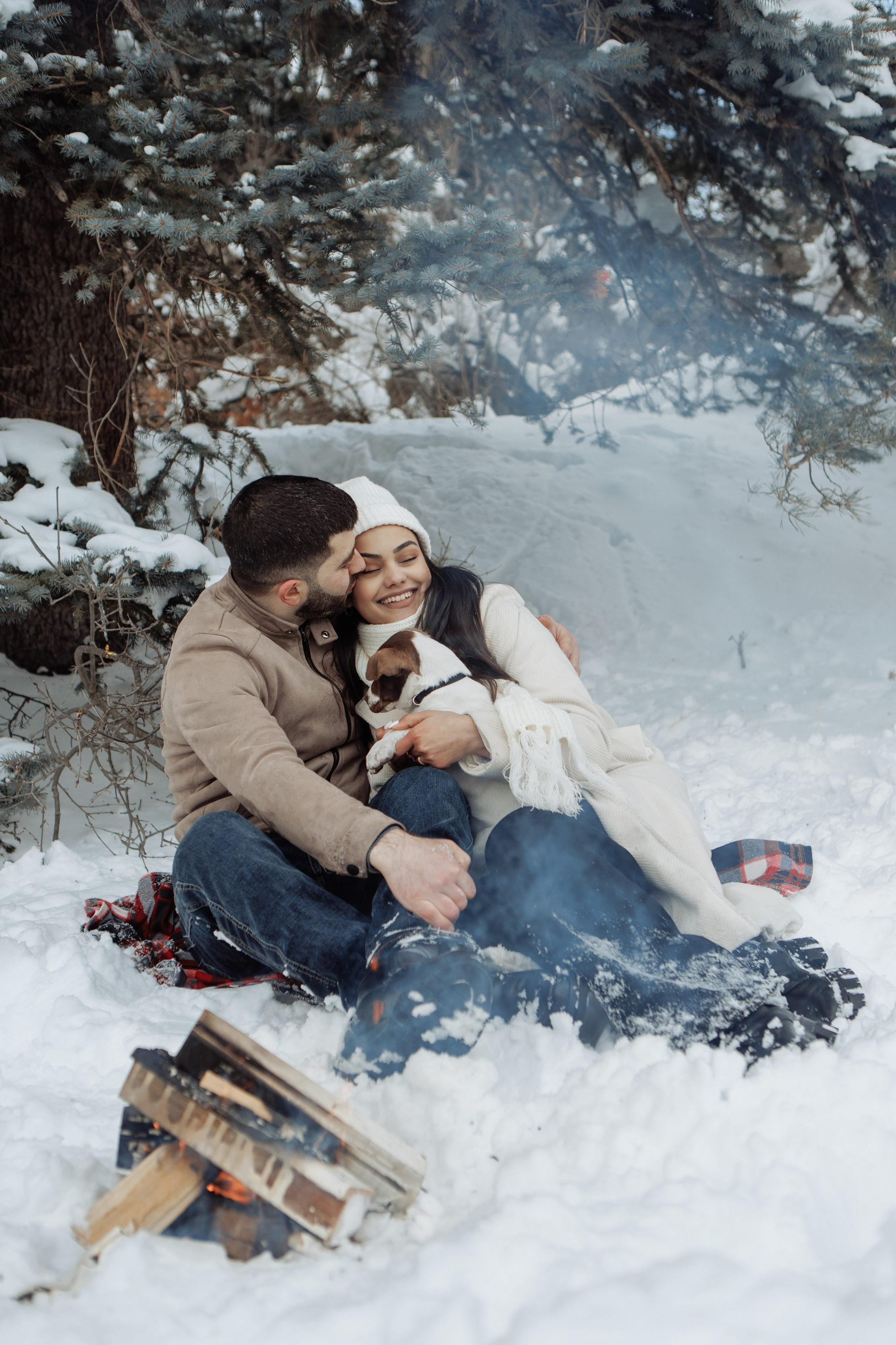 Снежинки. Գլխավոր