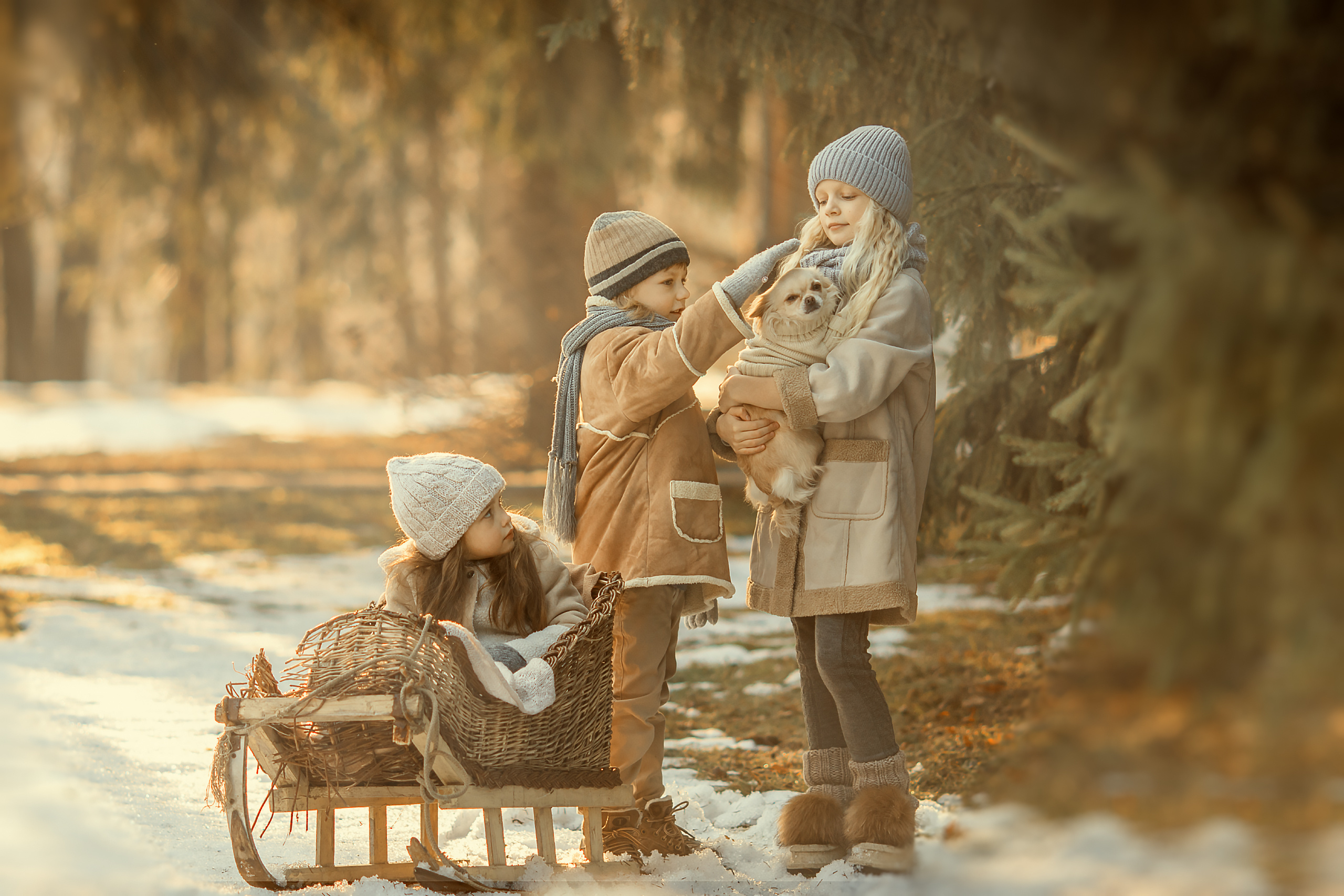 Детская фотосессия в Ярославле. Семейный и детский фотограф в Ярославле Абрамов Артём