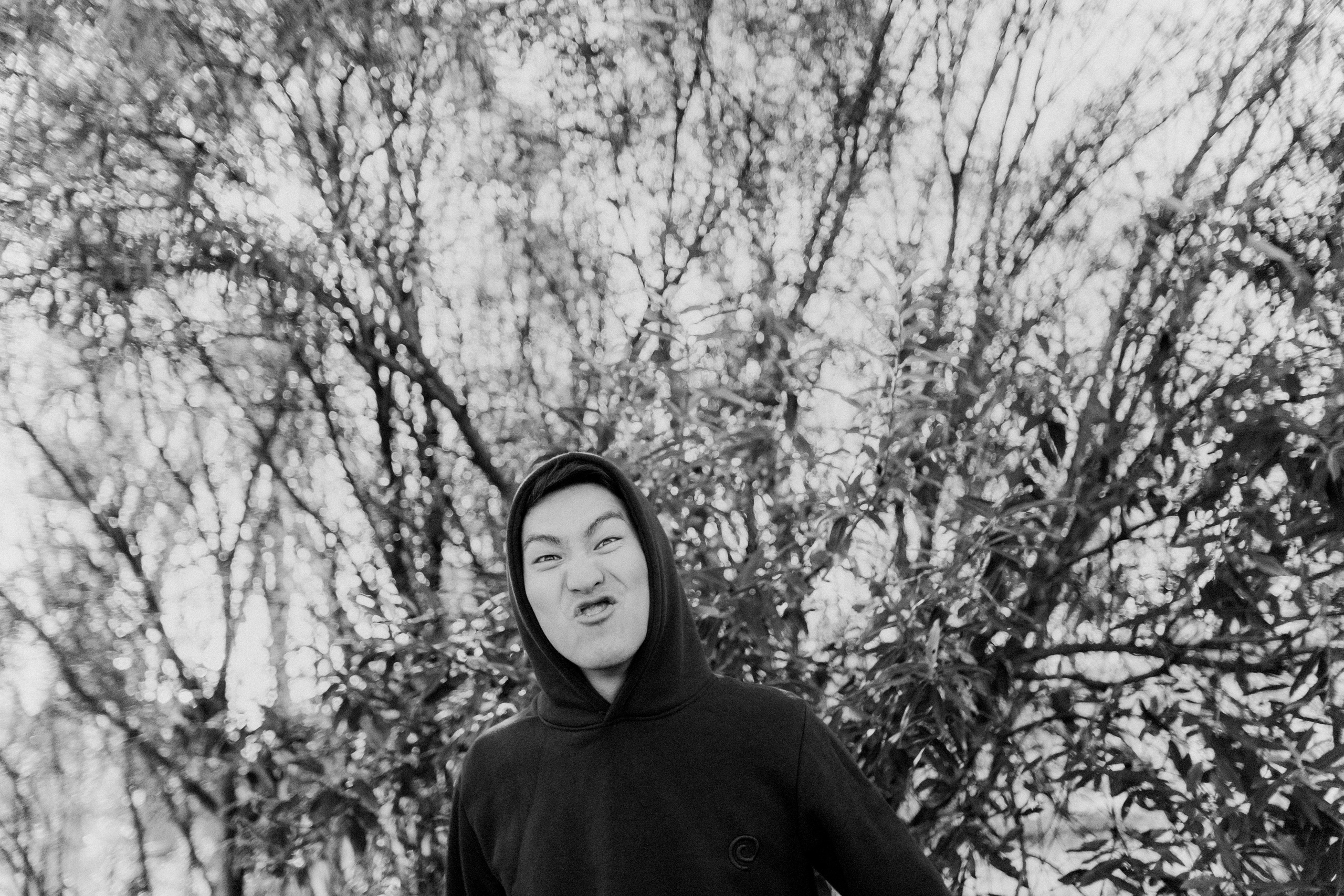 Лиля антонна