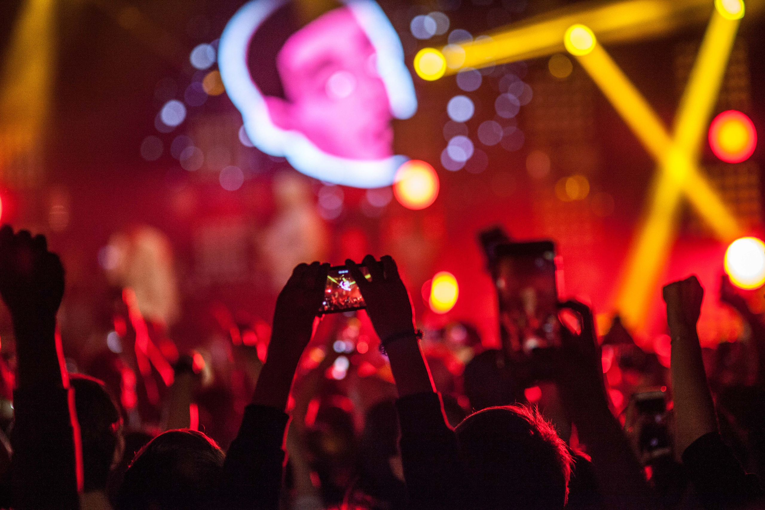 Feduk. Твой фотограф — Полосатый кот