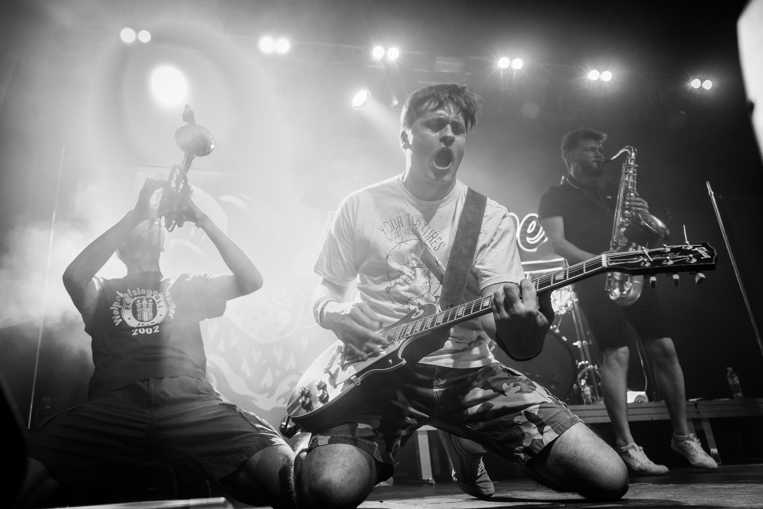 Distamper. Твой фотограф — Полосатый кот