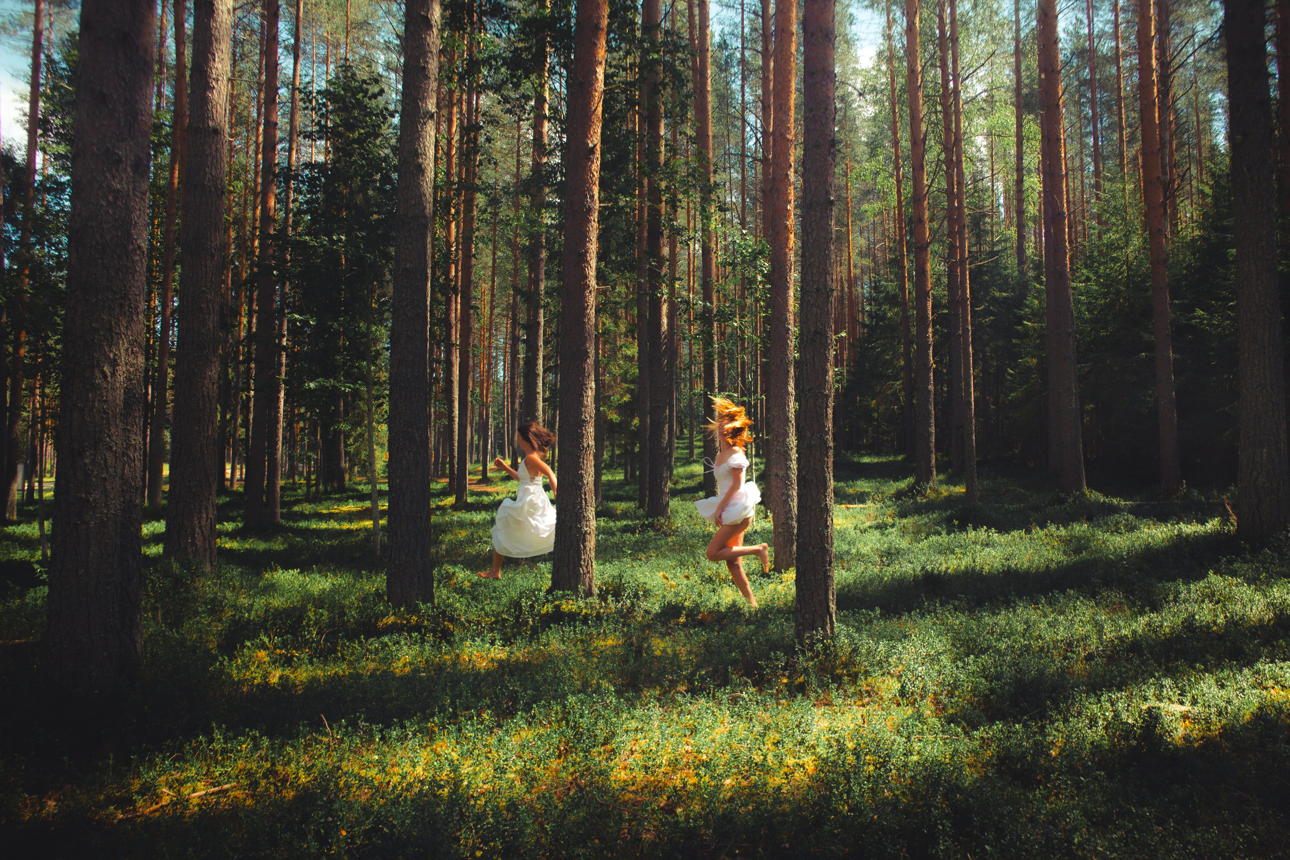 Ostryakov Daniil Photographer