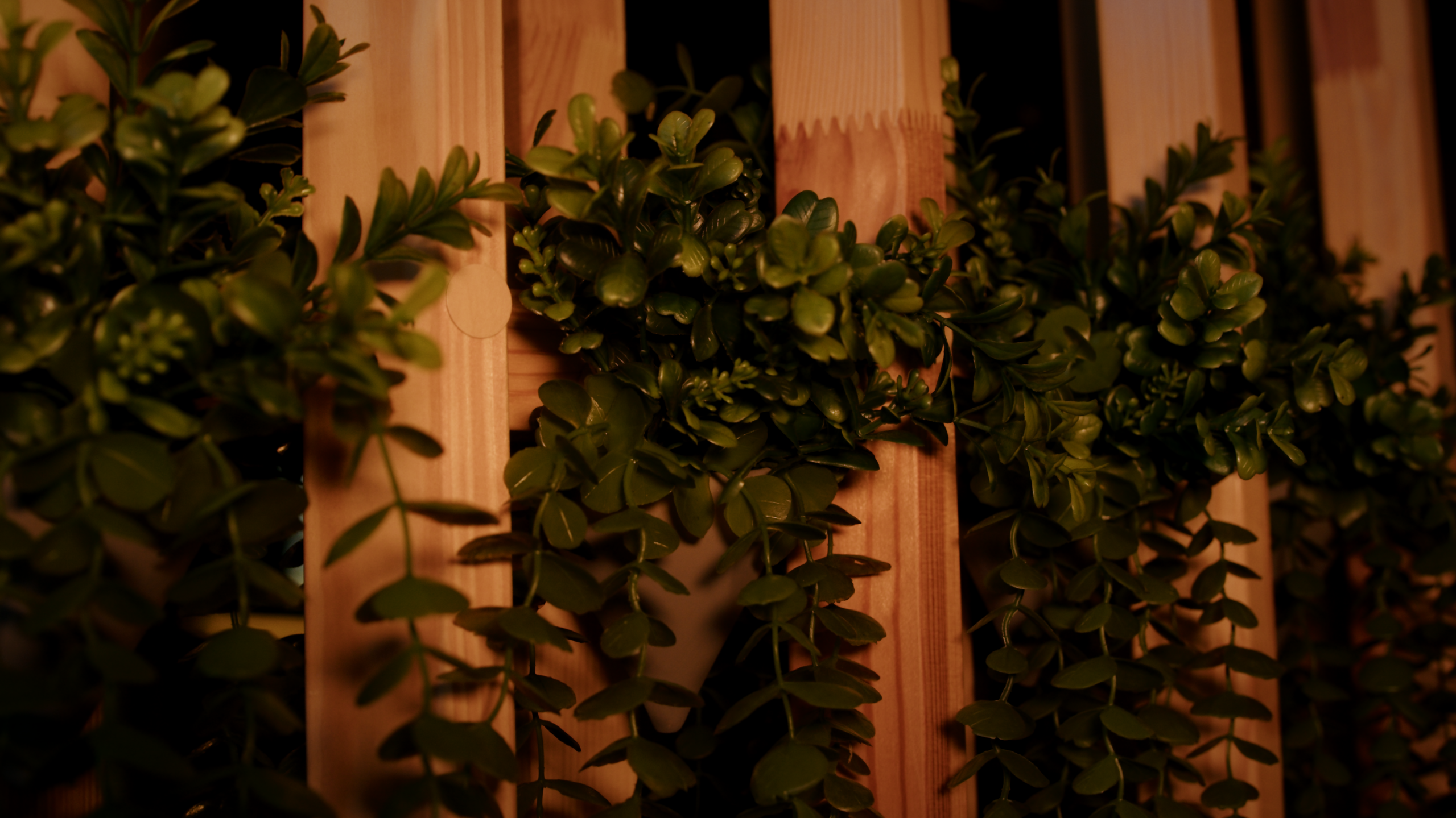 Реклама. «Lounge Bar». Мальцев Кирилл — оператор, монтажёр в Санкт-Петербурге