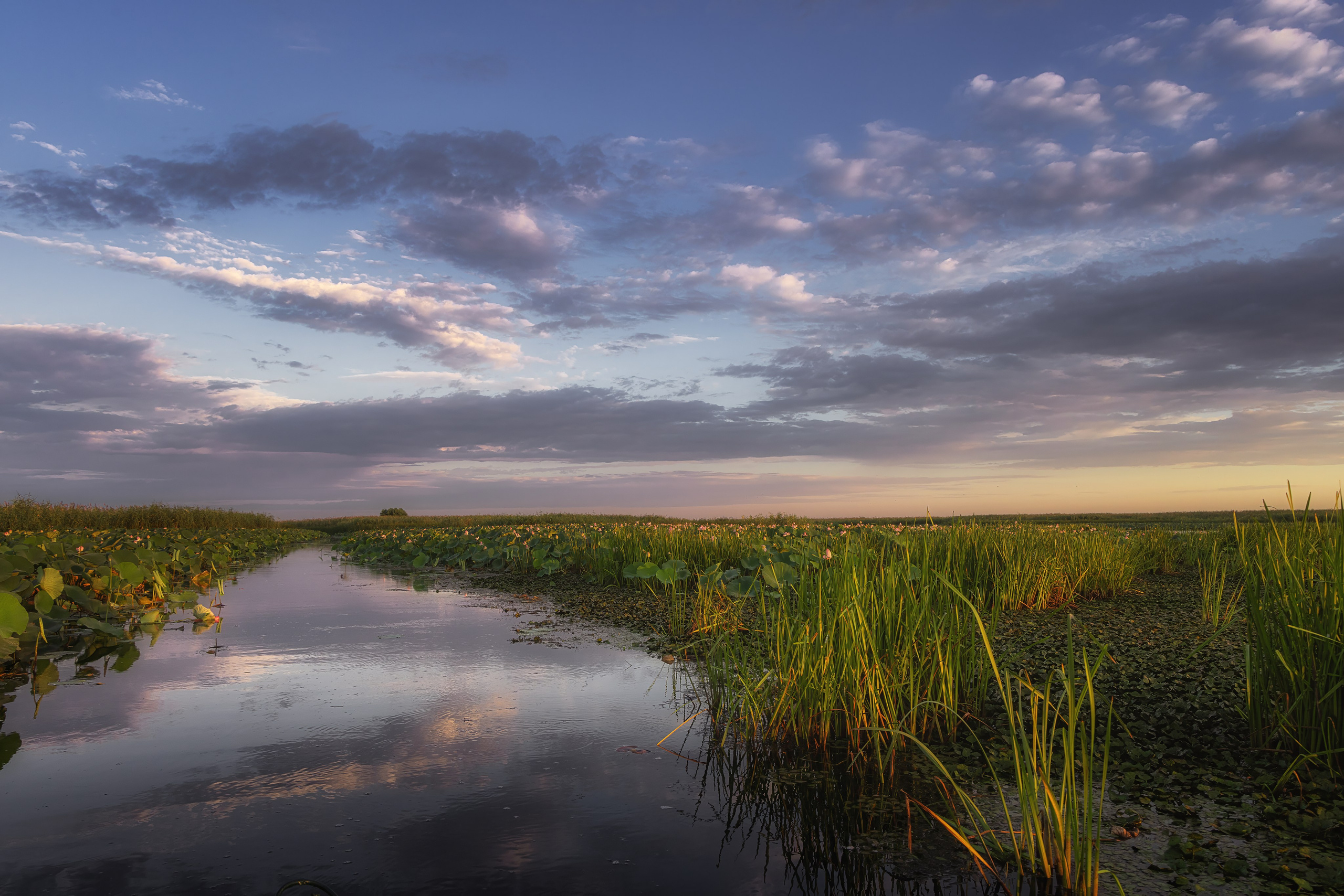 Астраханская область 2025 | Фотограф Дмитрий Купрацевич. Дмитрий Купрацевич профессиональный пейзажный и travel-фотограф