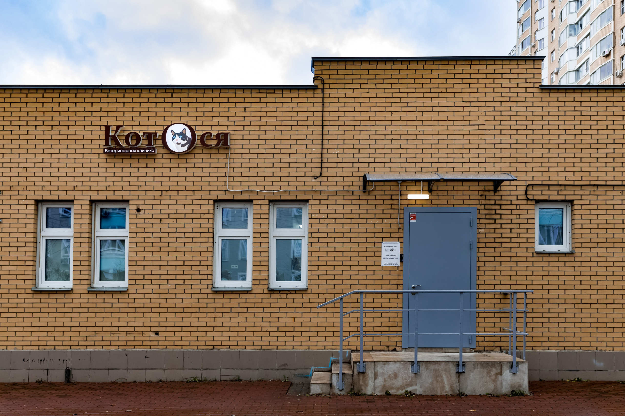 Интерьерная съемка для ветеринарной клиники КотОся. Интерьеры, Контент, Портреты | Фотограф в Москве Дани Терно