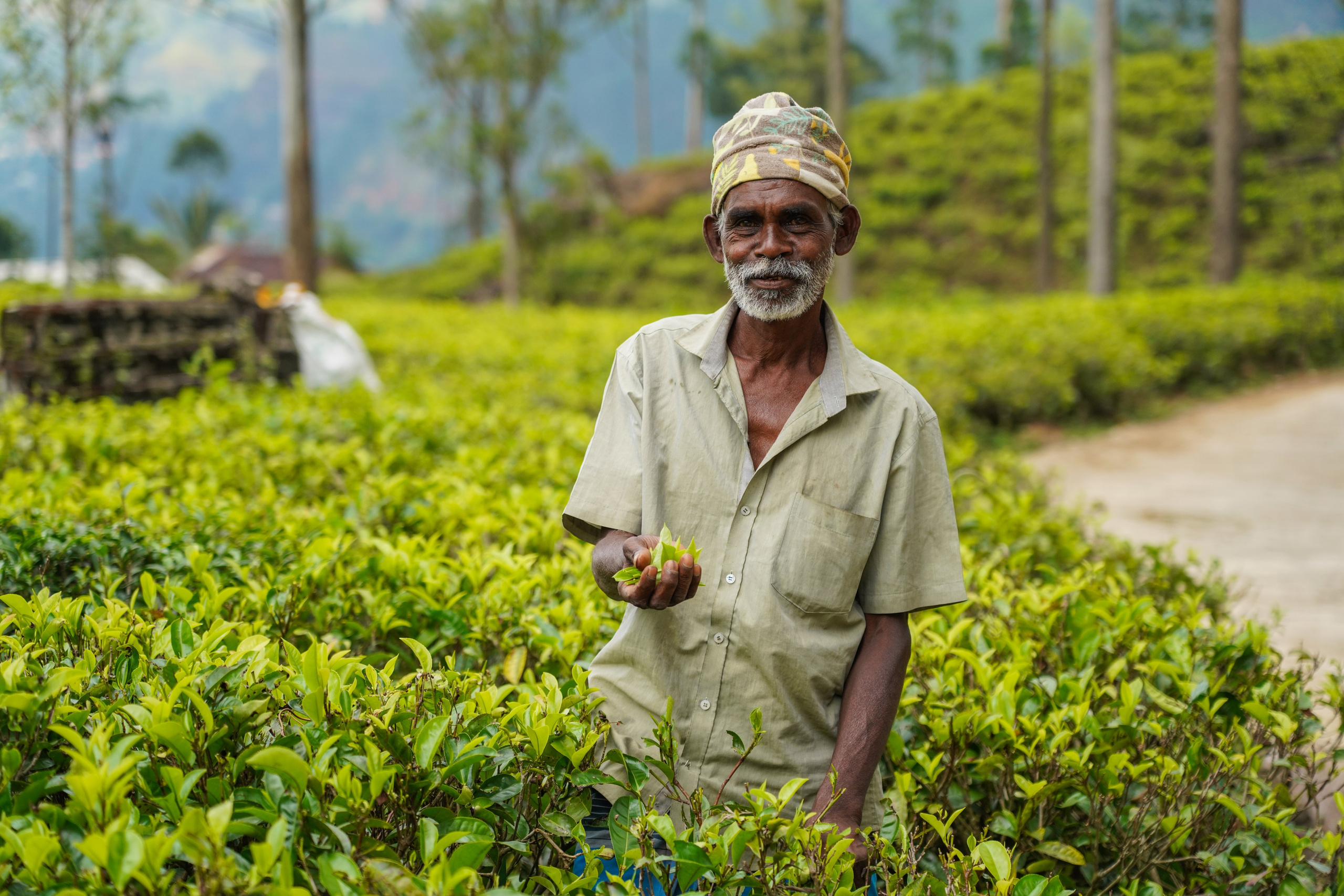 Остров Шри-Ланка. Фотограф Сергей Кишкель Дананг Нячанг Фукуок