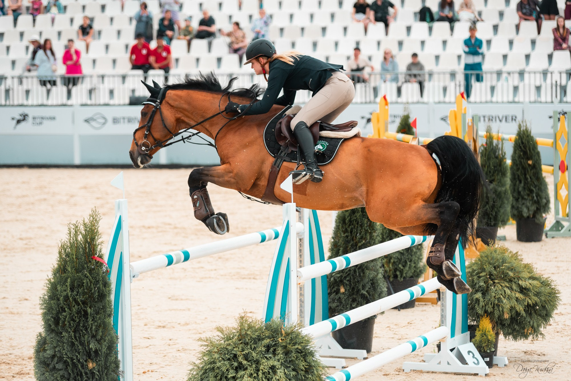 BITRIVER CUP 2023. Конный фотограф Куракина Дарья • Фотосессии с лошадьми