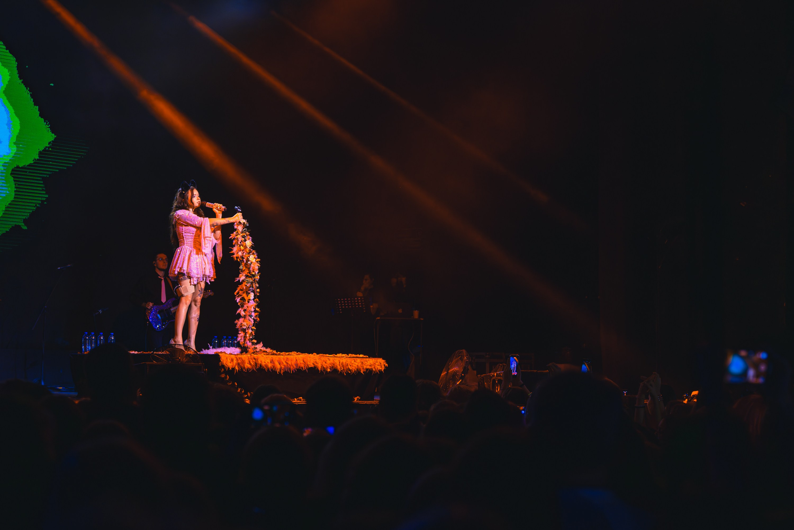 Алена Швец. Магия музыки в кадре: Концертная Фотография