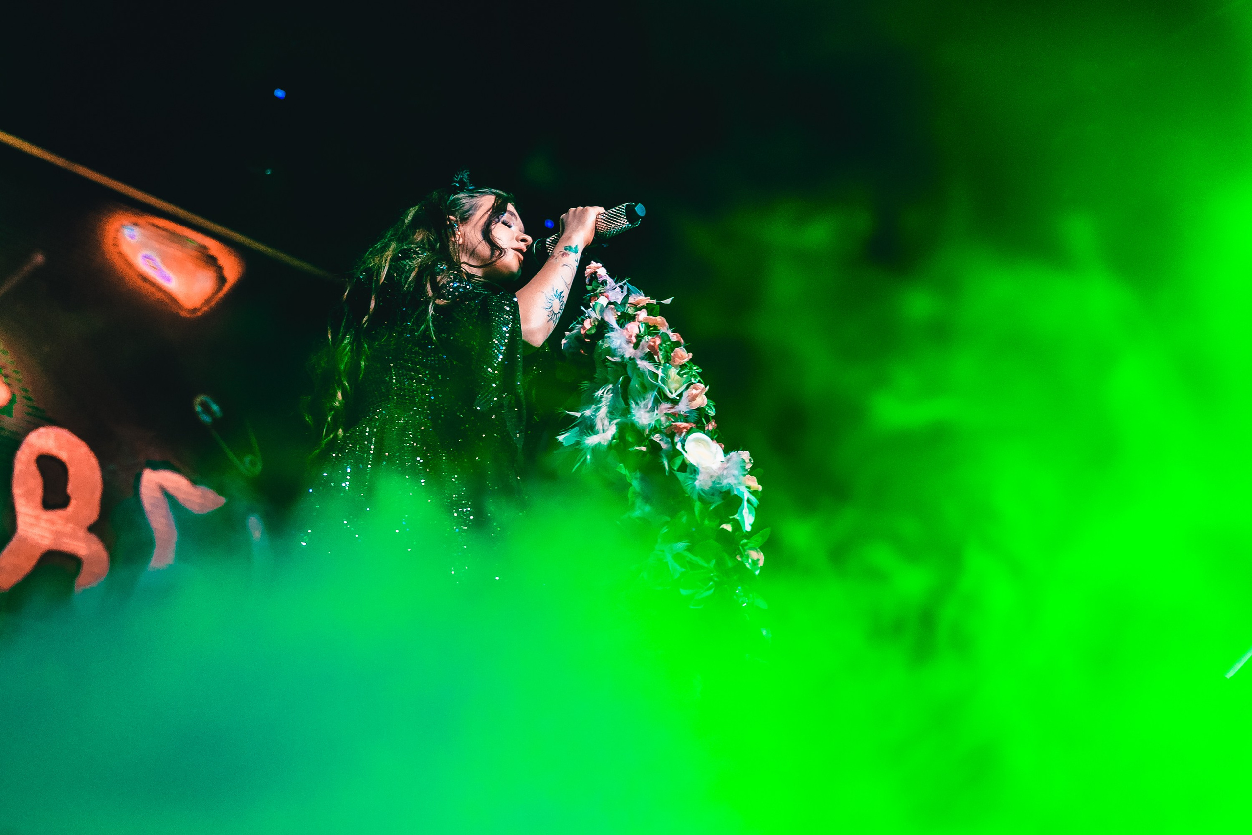 Алена Швец. Магия музыки в кадре: Концертная Фотография