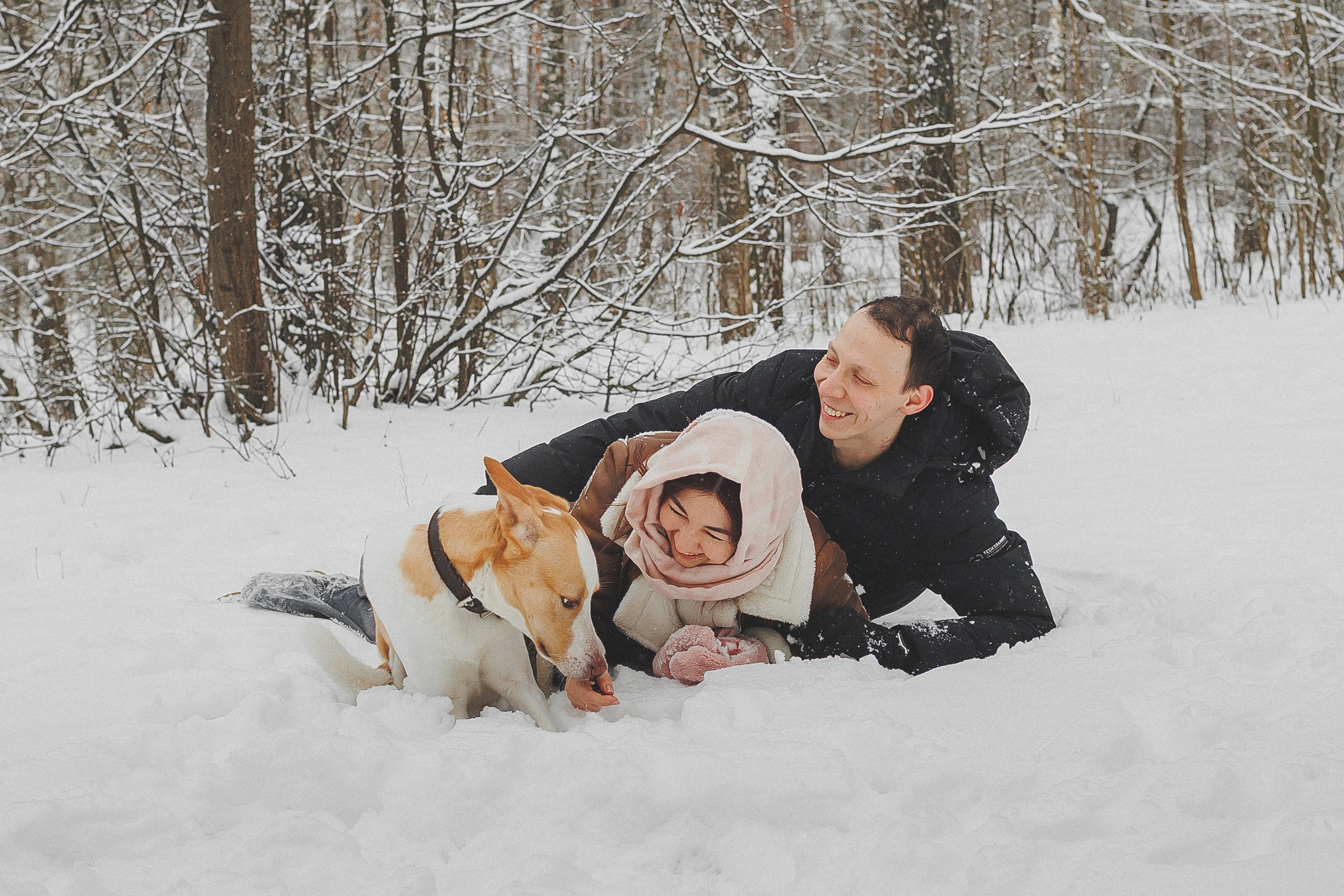 Зимняя фотосессия в лесу с собакой. Фотограф в Москве и Люберцах Анна Ушакова