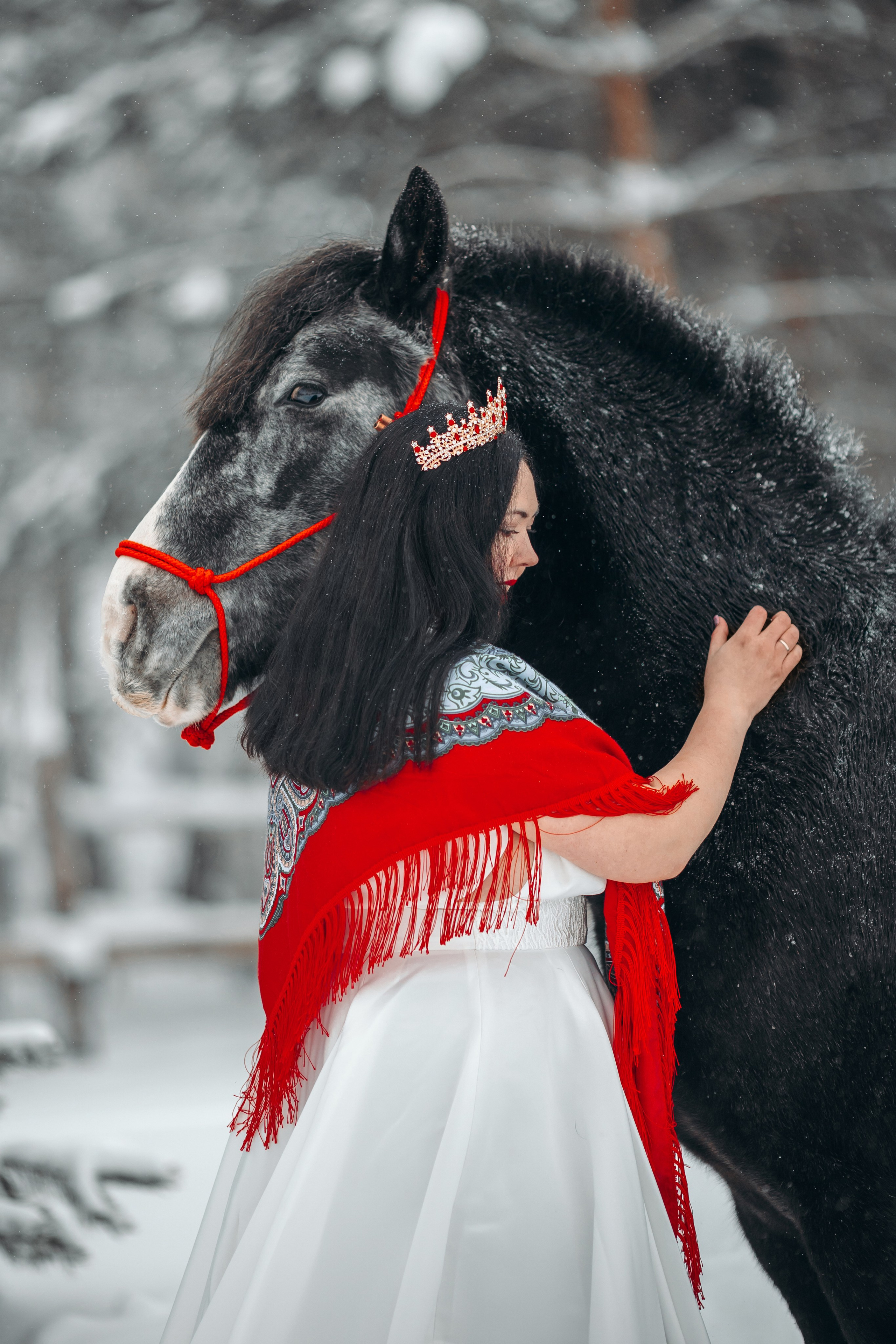 Яблоки на снегу. Анна Молчанова конный фотограф в Тюмени | фотосессии с лошадьми Тюмень