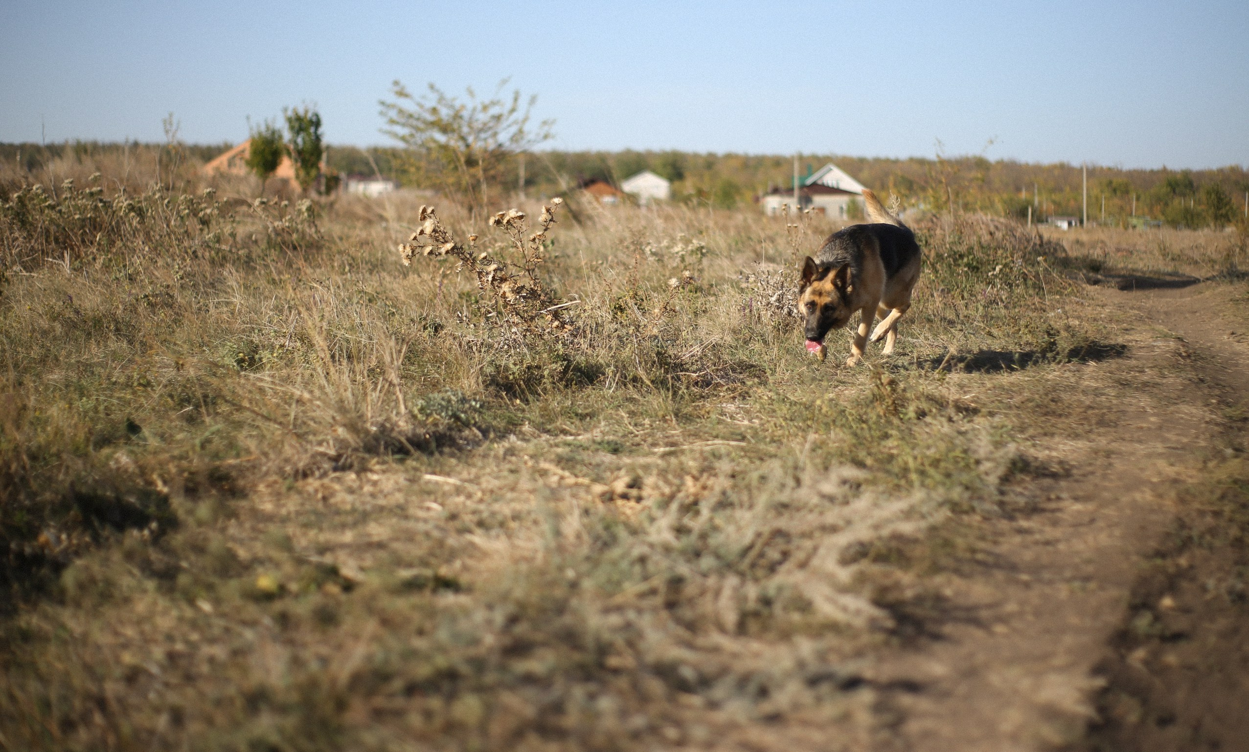 Жизнь. Коммерческий фотограф. Ростов-на-Дону. Дарья Константинова