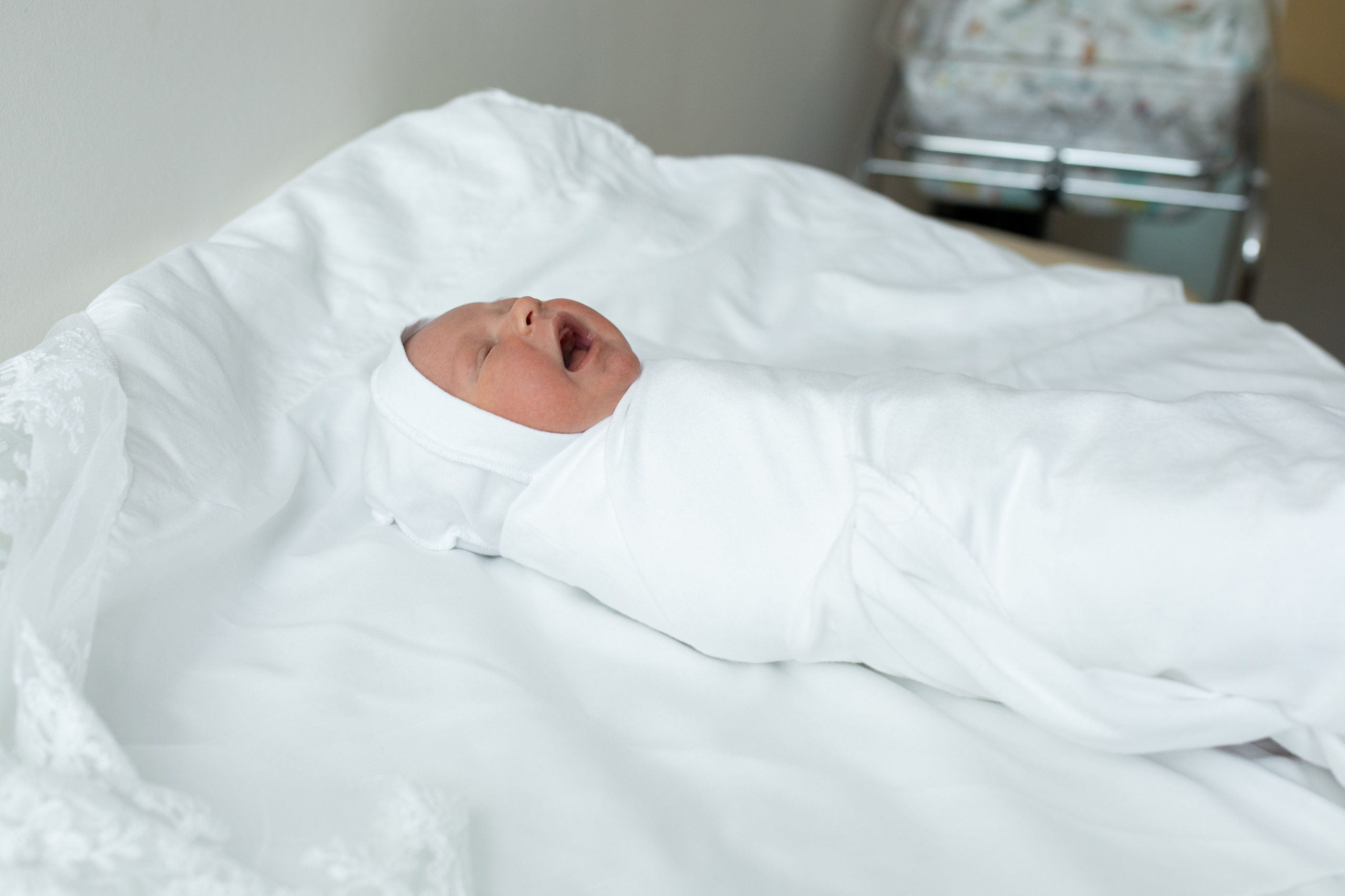 Авиценна. Фотограф в Новосибирске Ася Зверева