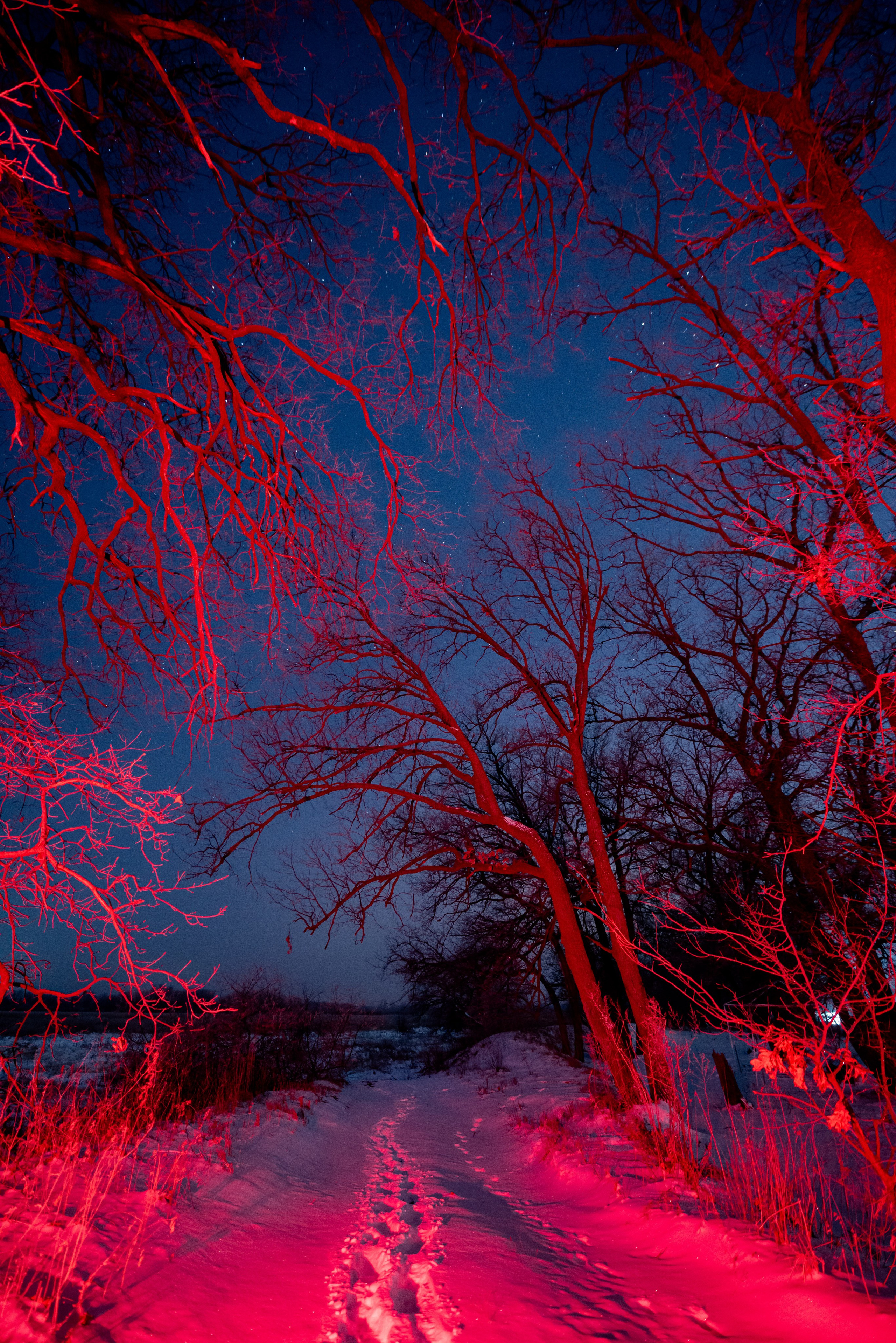 Ночь зимой. Фотограф в Волгограде и Волжском Александр Горбань