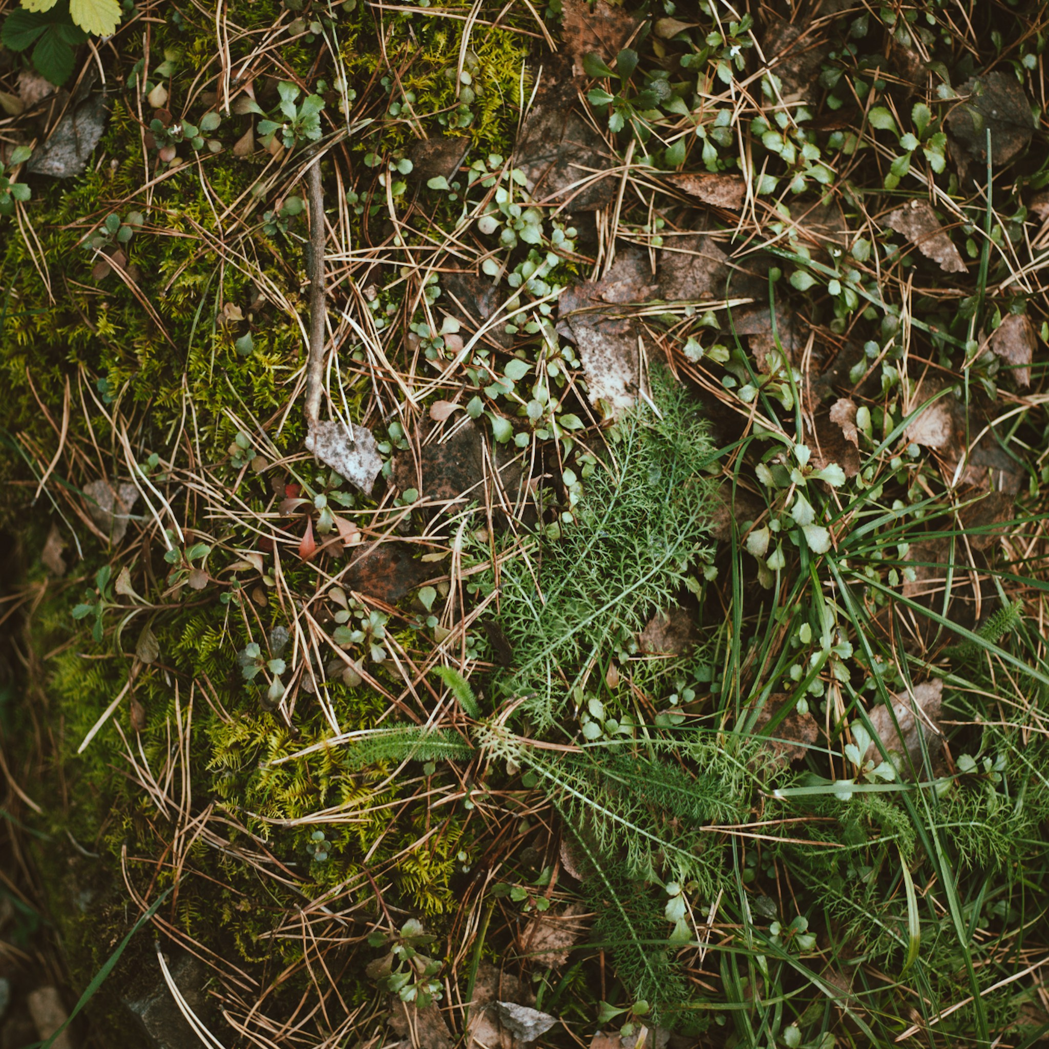 Алтай. Больше не греет