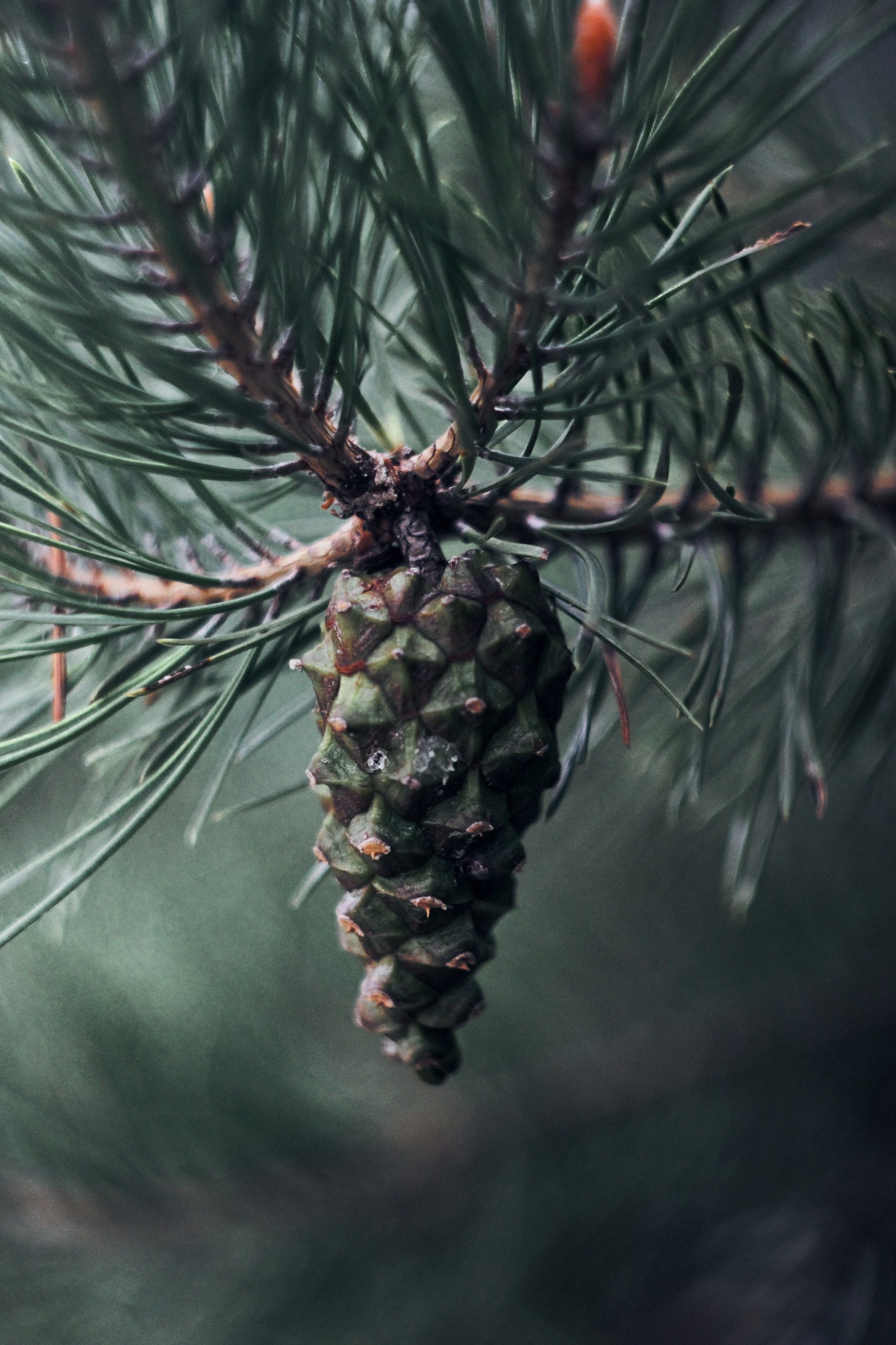Меланхолия августа. С любовью, фотохудожник