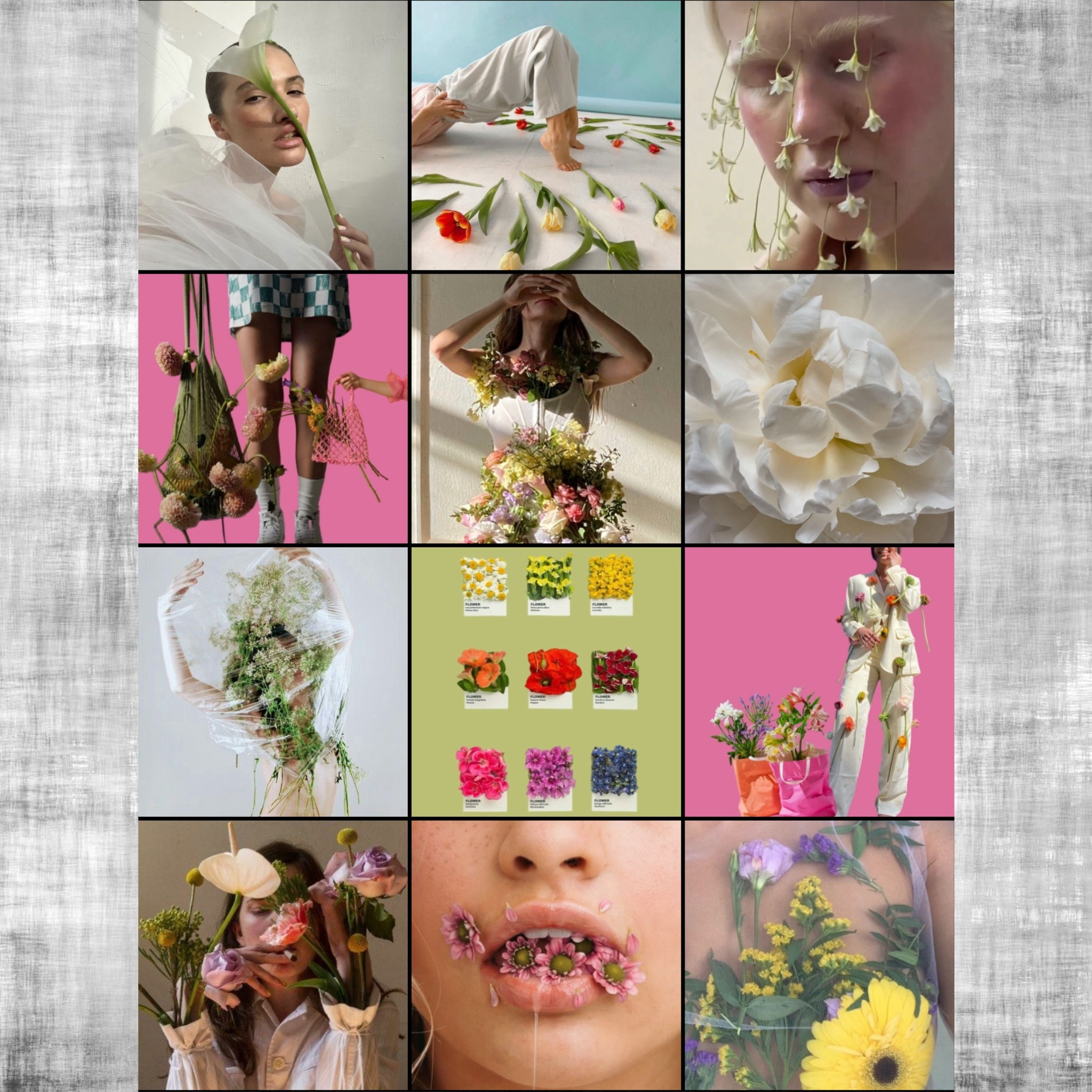 Визуал для флориста