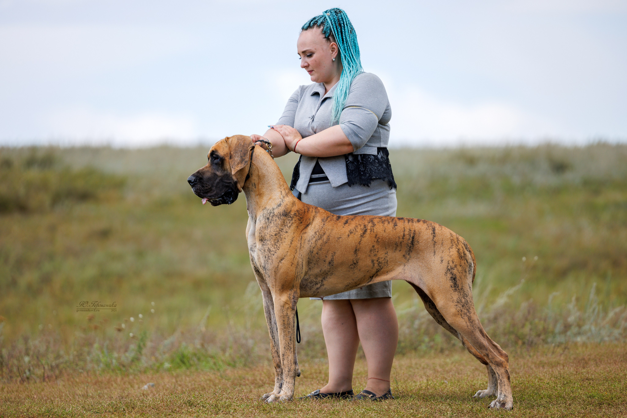 Астана 2хCACIB 17-18.08.2024. Фотограф-анималист Юлия Германика