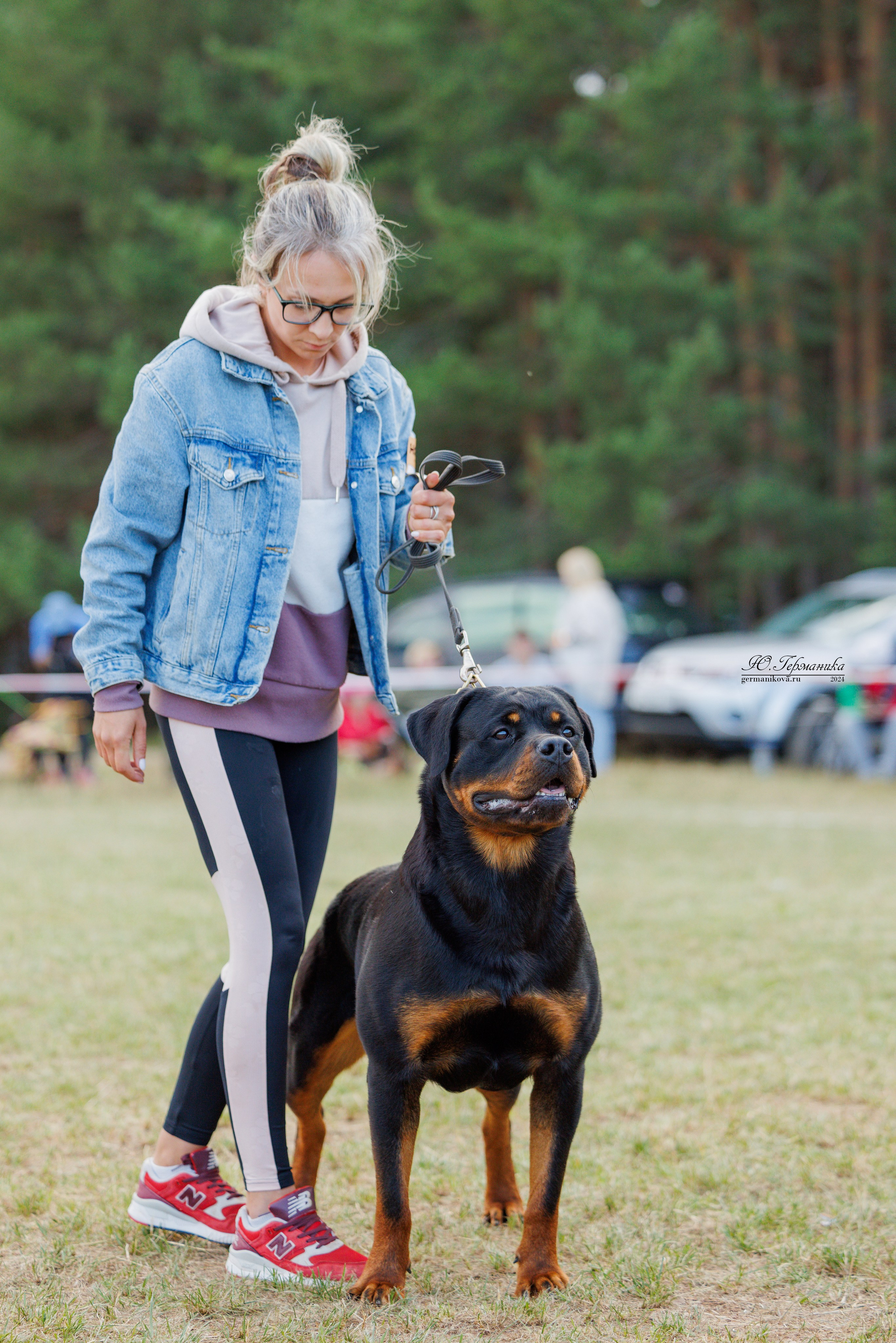 ПК и КЧК ротвейлеры Тверь 6-7.07.2024. Фотограф-анималист Юлия Германика