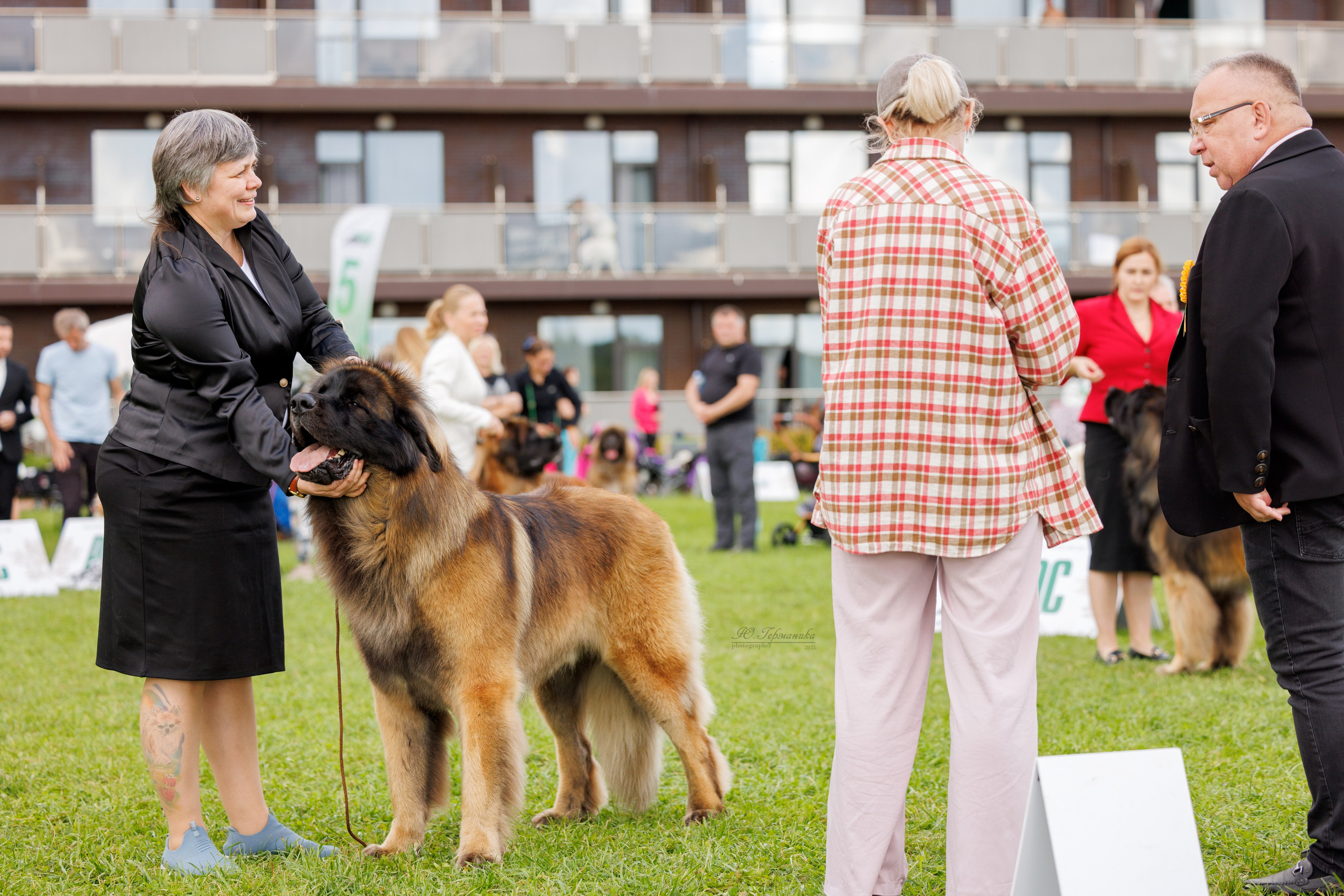 Переславль 5-7.08.2025. Фотограф-анималист Юлия Германика